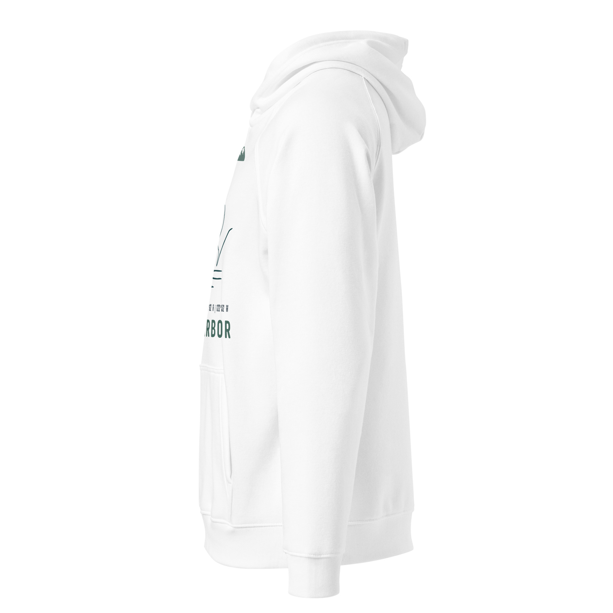 unisex-eco-raglan-hoodie-white-left-68f8e40cb51b3.jpg