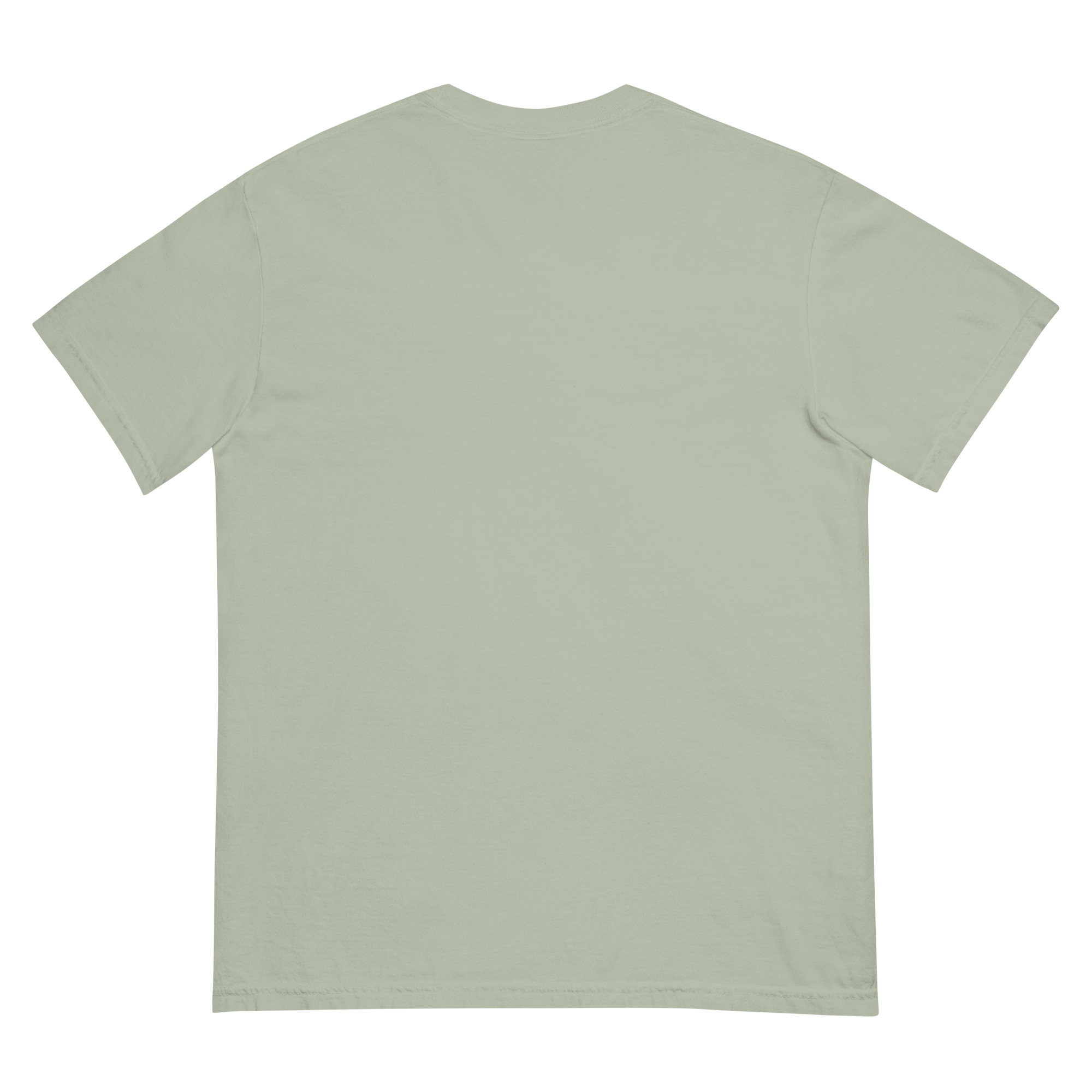 unisex-garment-dyed-heavyweight-t-shirt-bay-back-68f3a88e0fd50.jpg