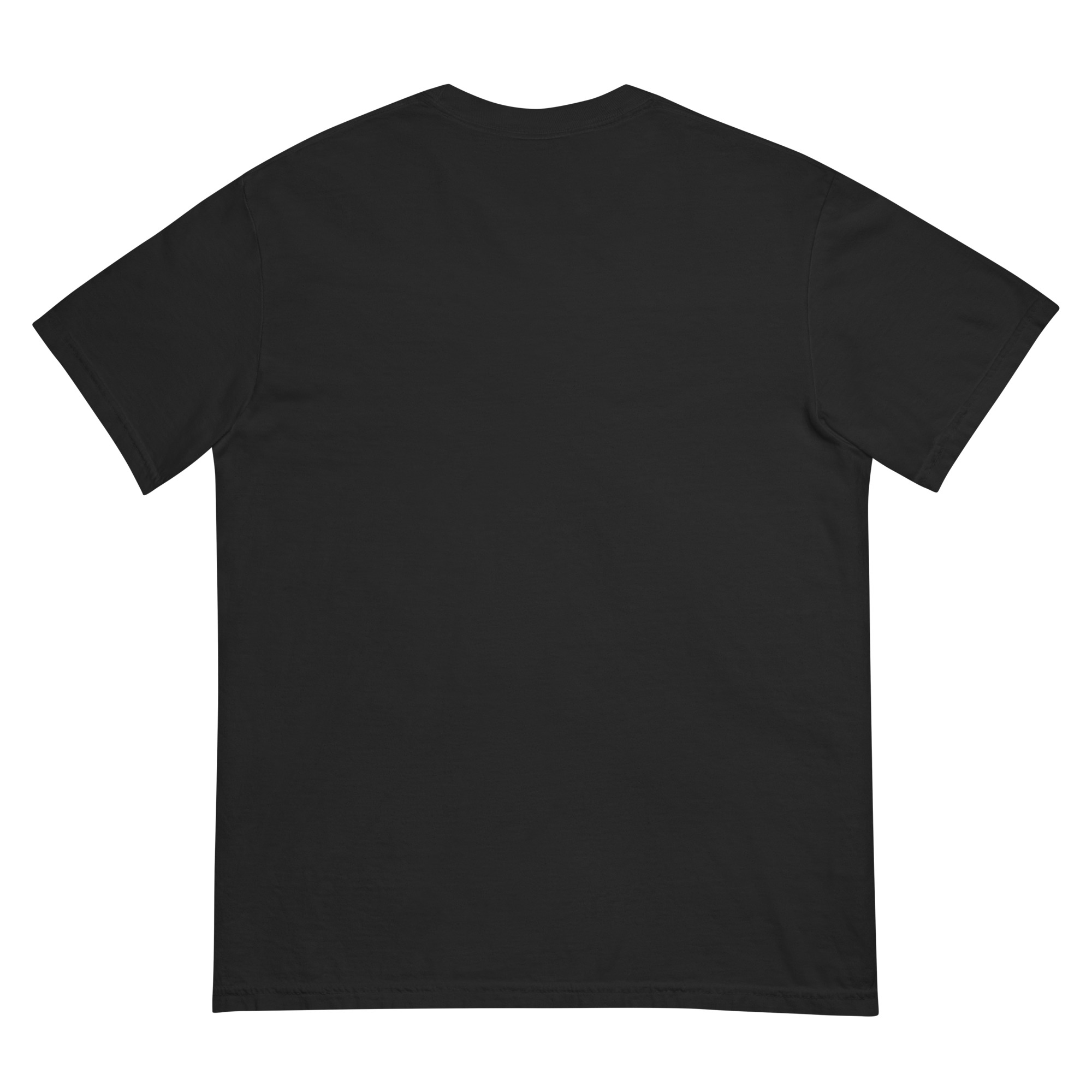 unisex-garment-dyed-heavyweight-t-shirt-black-back-68ee8b501f90c.jpg