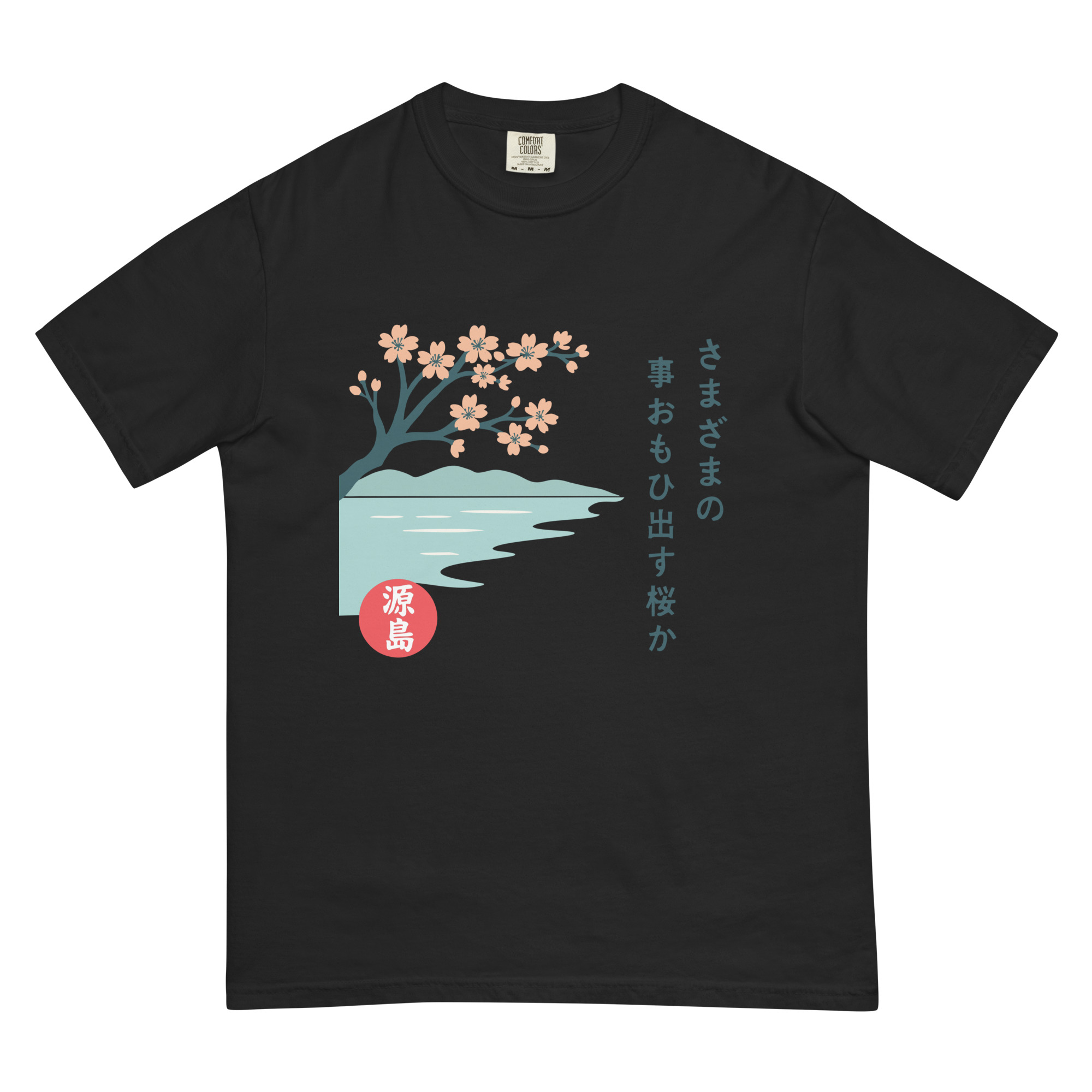 unisex-garment-dyed-heavyweight-t-shirt-black-front-68f2519e2387d.jpg