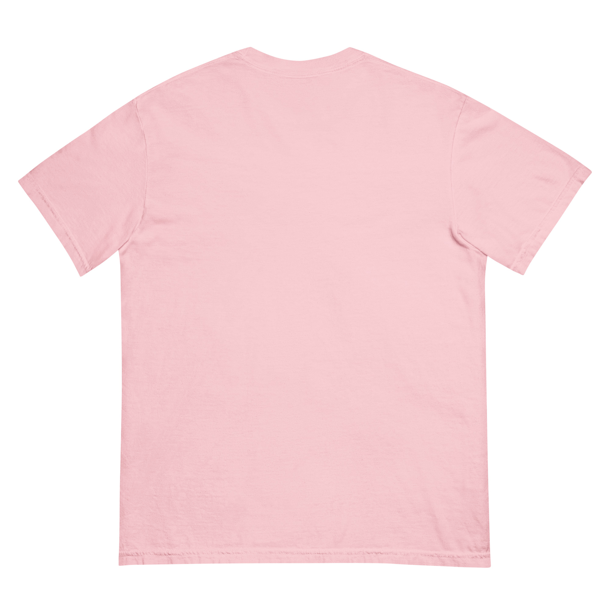unisex-garment-dyed-heavyweight-t-shirt-blossom-back-68f3a88e2f923.jpg