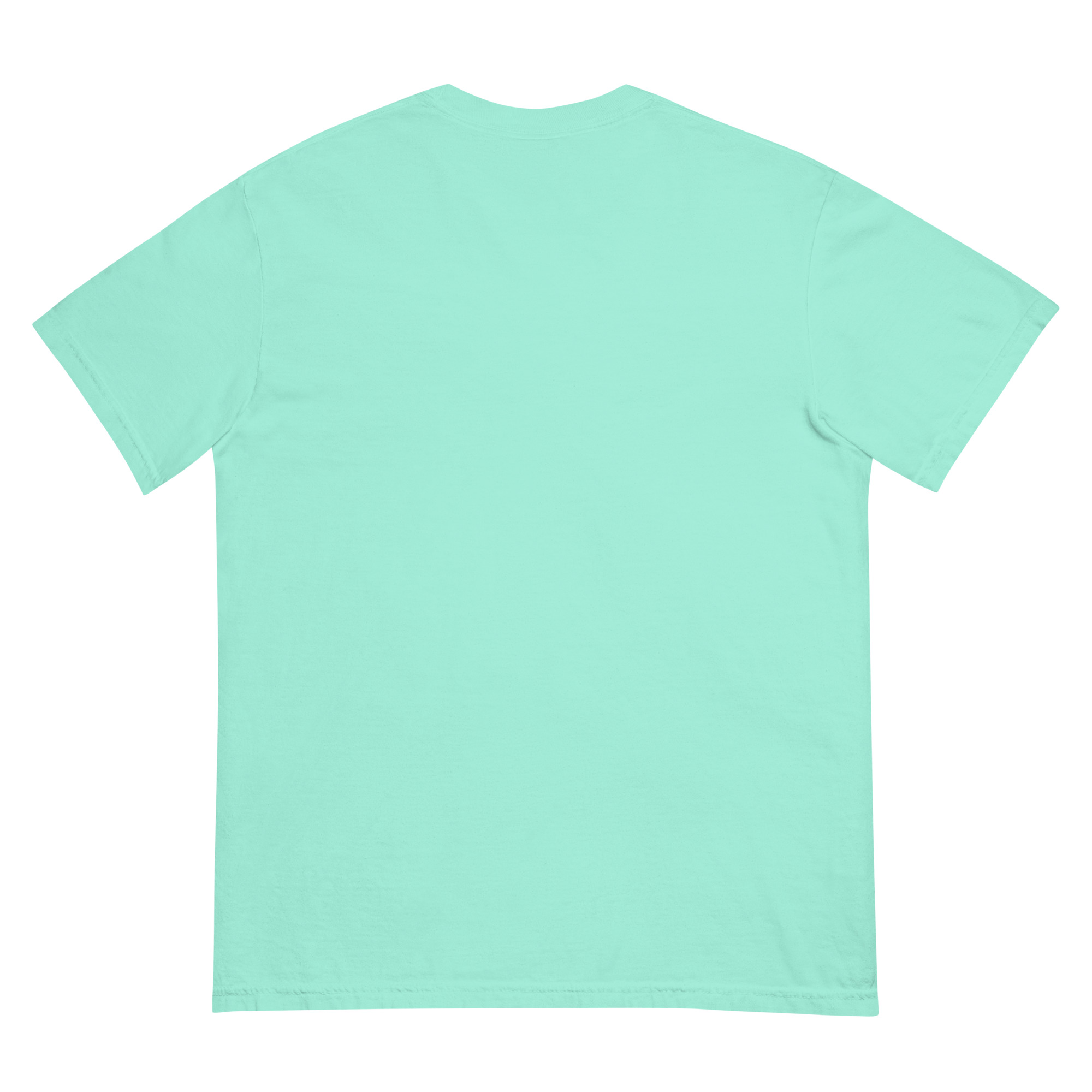 unisex-garment-dyed-heavyweight-t-shirt-chalky-mint-back-68efba164193f.jpg