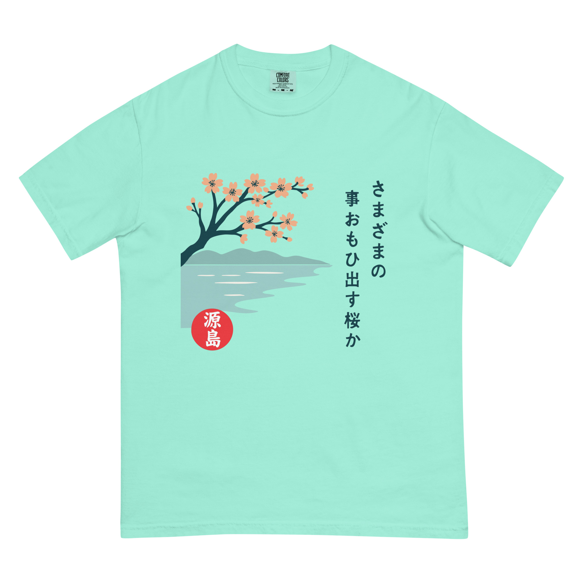 unisex-garment-dyed-heavyweight-t-shirt-chalky-mint-front-68f2519ef2187.jpg