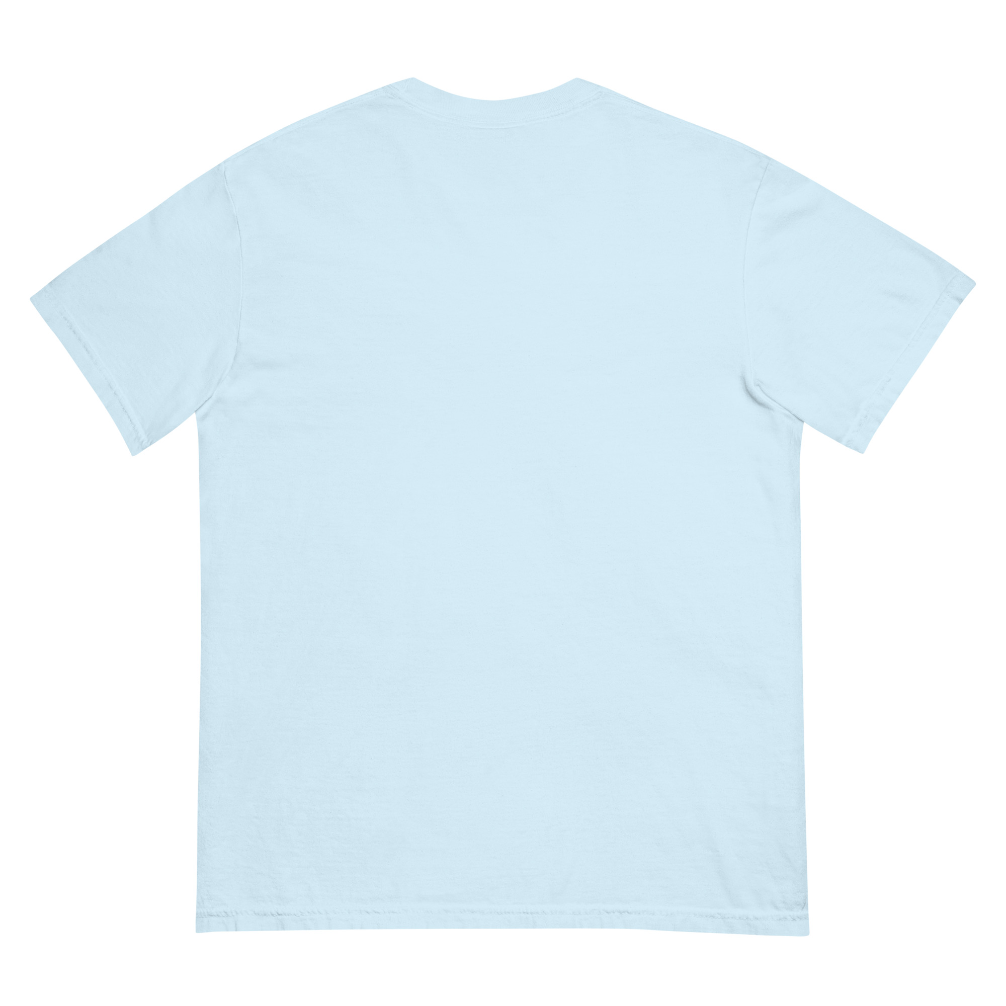 unisex-garment-dyed-heavyweight-t-shirt-chambray-back-68f3a88e666c3.jpg