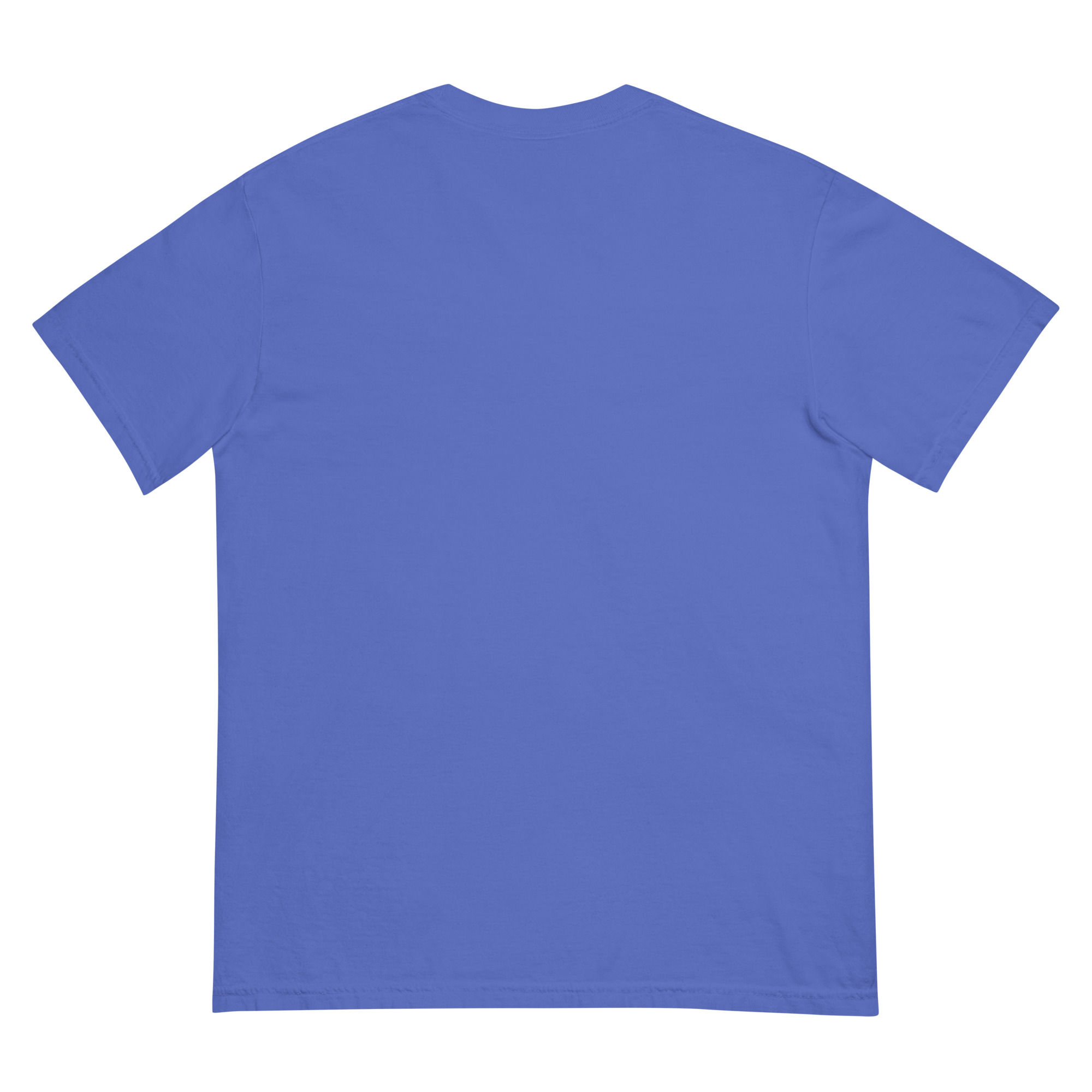 unisex-garment-dyed-heavyweight-t-shirt-flo-blue-back-68f3a88db5b69.jpg