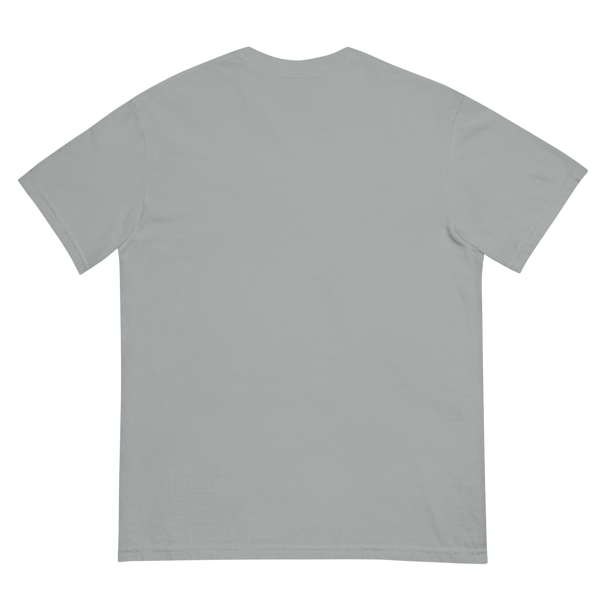 unisex-garment-dyed-heavyweight-t-shirt-granite-back-68f3a88de927b.jpg