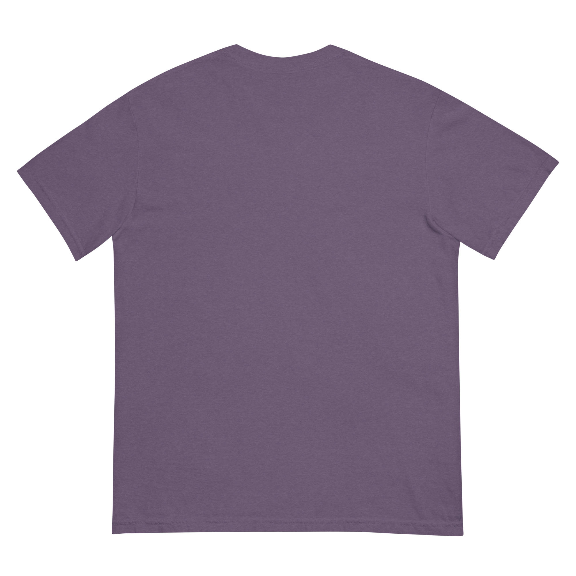 unisex-garment-dyed-heavyweight-t-shirt-grape-back-68f3ac473ec8f.jpg