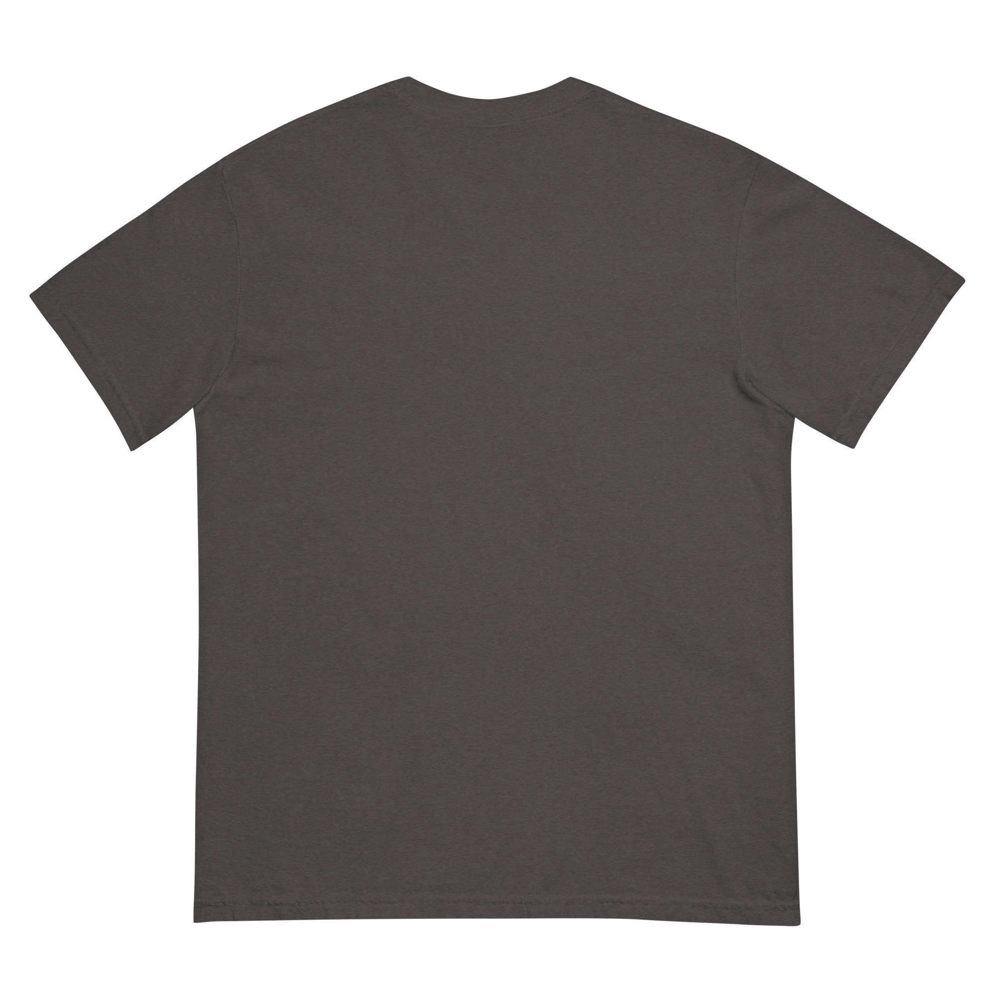 unisex-garment-dyed-heavyweight-t-shirt-graphite-back-68f3a88d85360.jpg