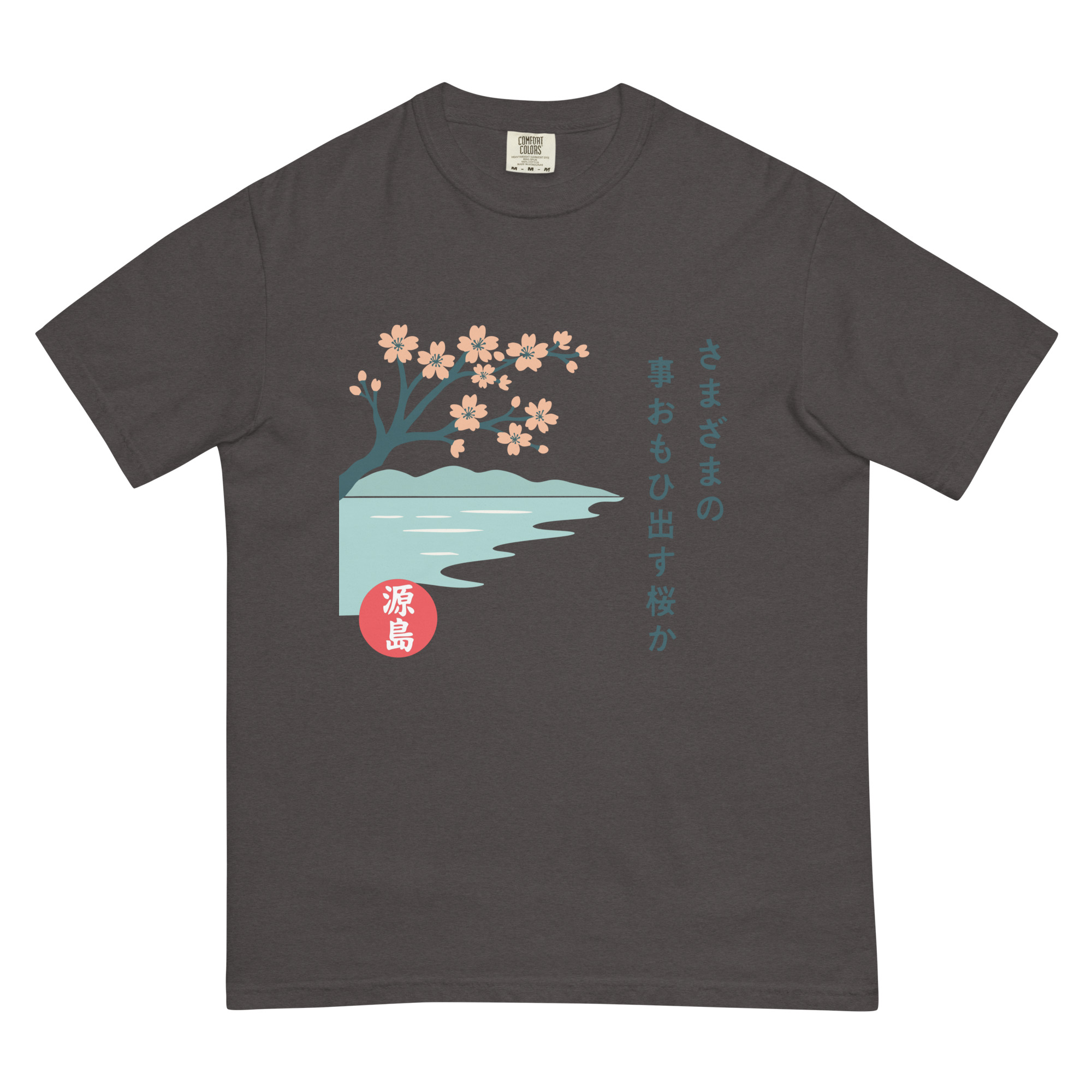 unisex-garment-dyed-heavyweight-t-shirt-graphite-front-68f2519e26538.jpg