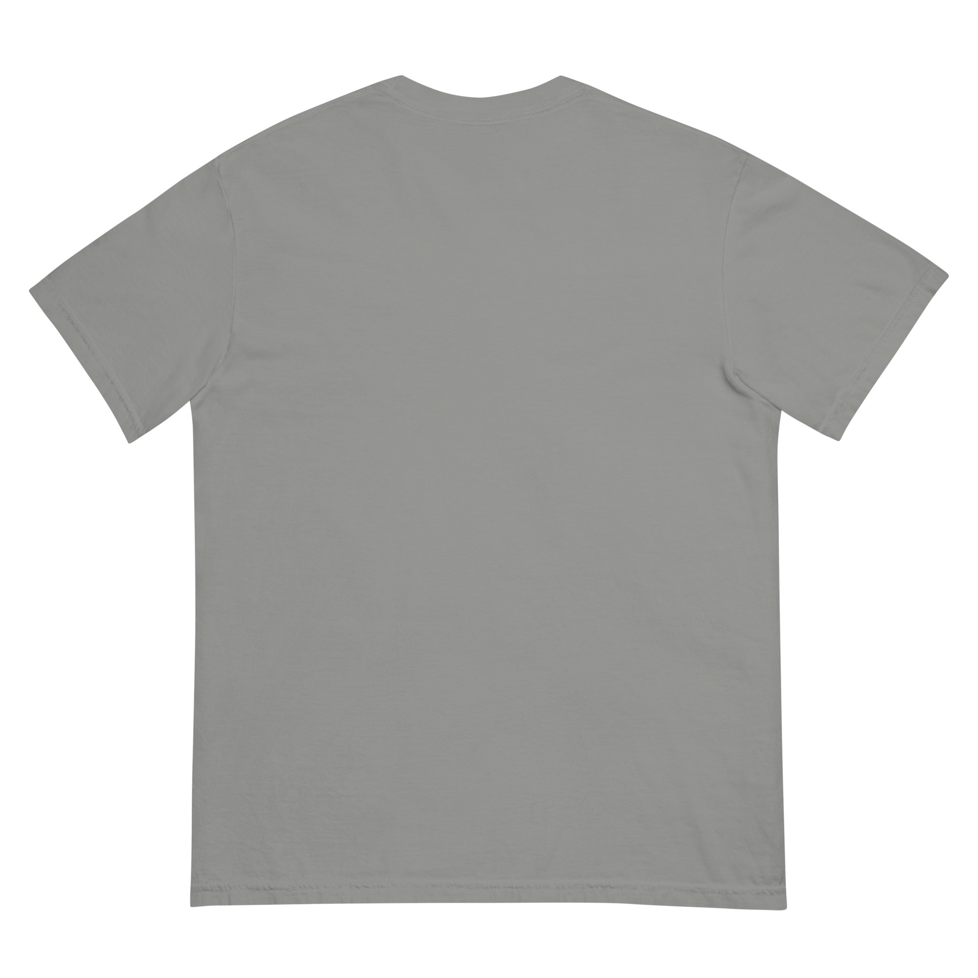unisex-garment-dyed-heavyweight-t-shirt-grey-back-68f3a88ddbef4.jpg