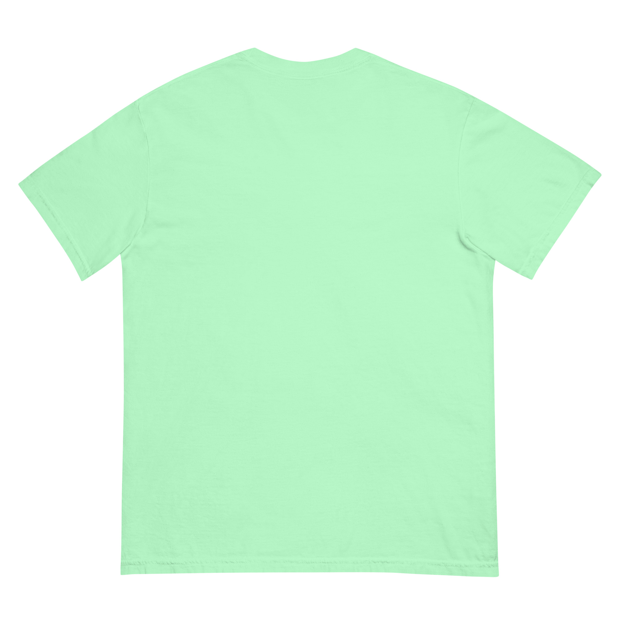 unisex-garment-dyed-heavyweight-t-shirt-island-reef-back-68f3a88e54bd2.jpg