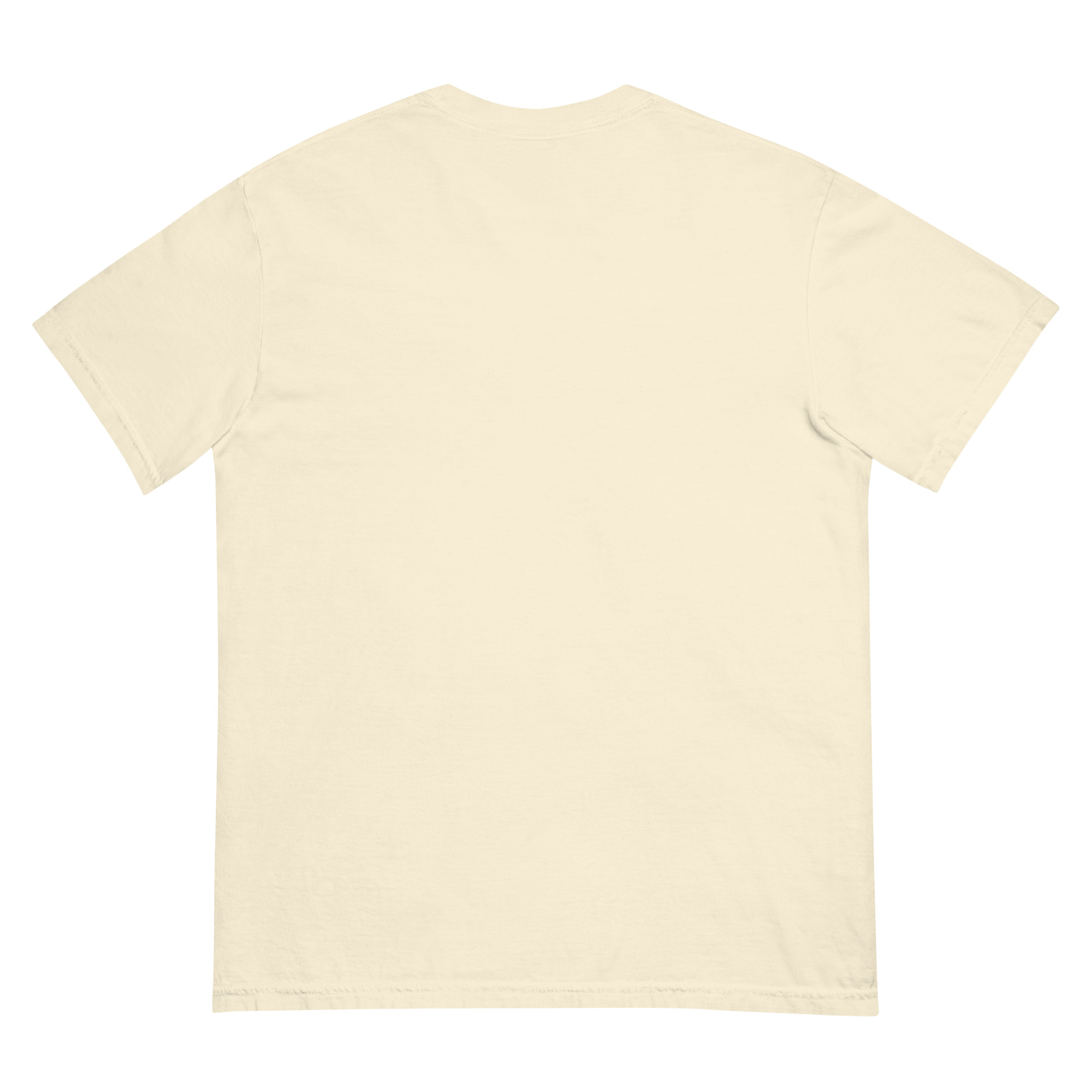 unisex-garment-dyed-heavyweight-t-shirt-ivory-back-68efba1682450.jpg