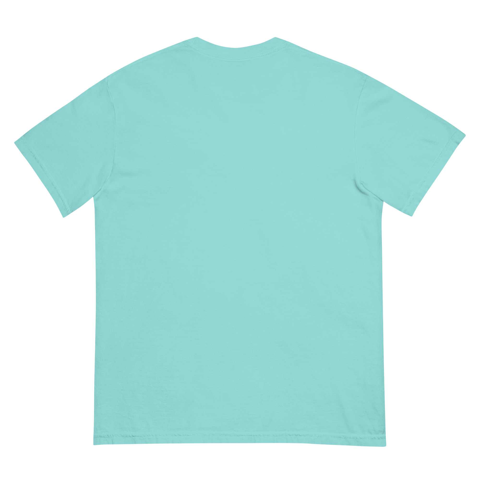 unisex-garment-dyed-heavyweight-t-shirt-lagoon-blue-back-68f3a88e1f222.jpg