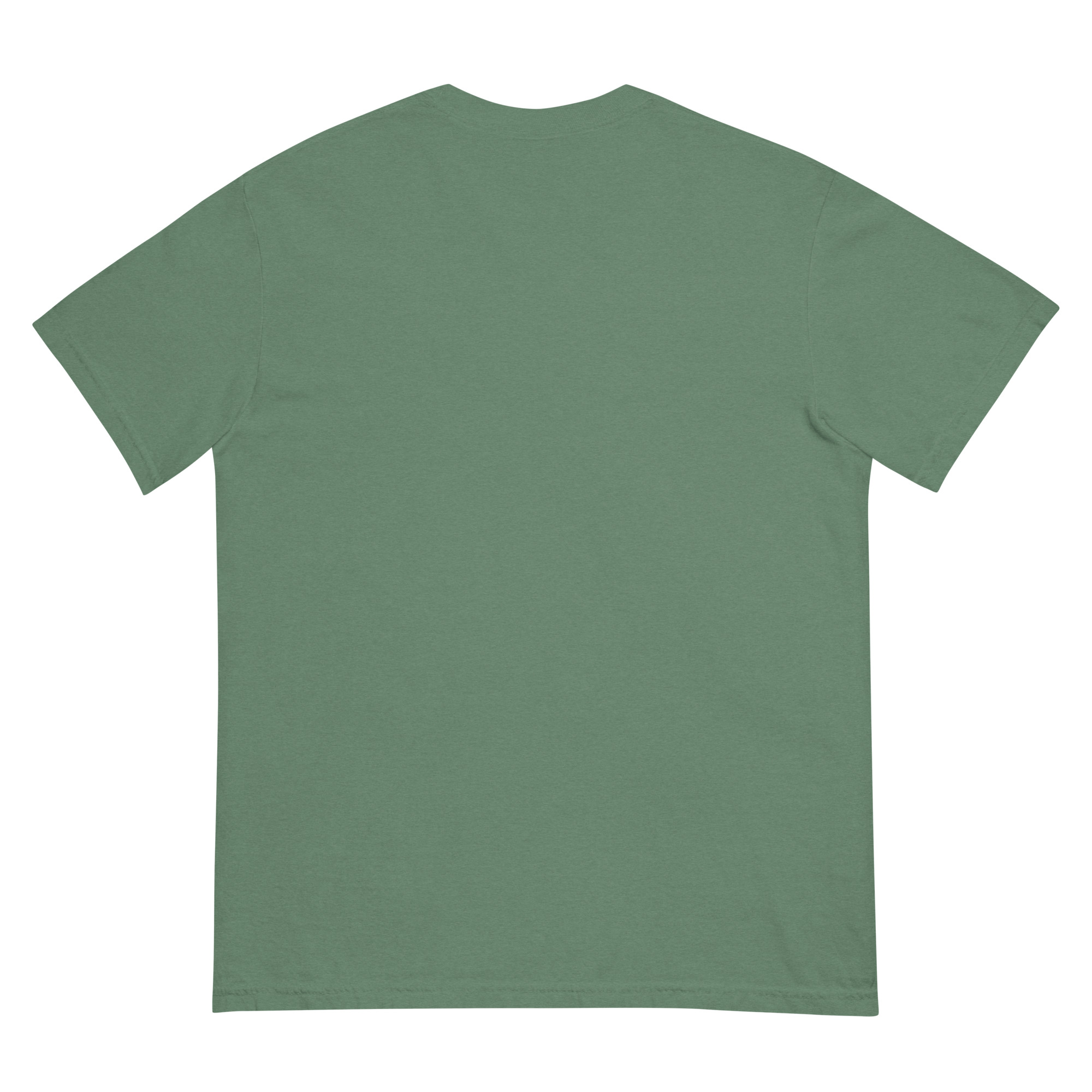 unisex-garment-dyed-heavyweight-t-shirt-light-green-back-68f3a88dc6ed3.jpg