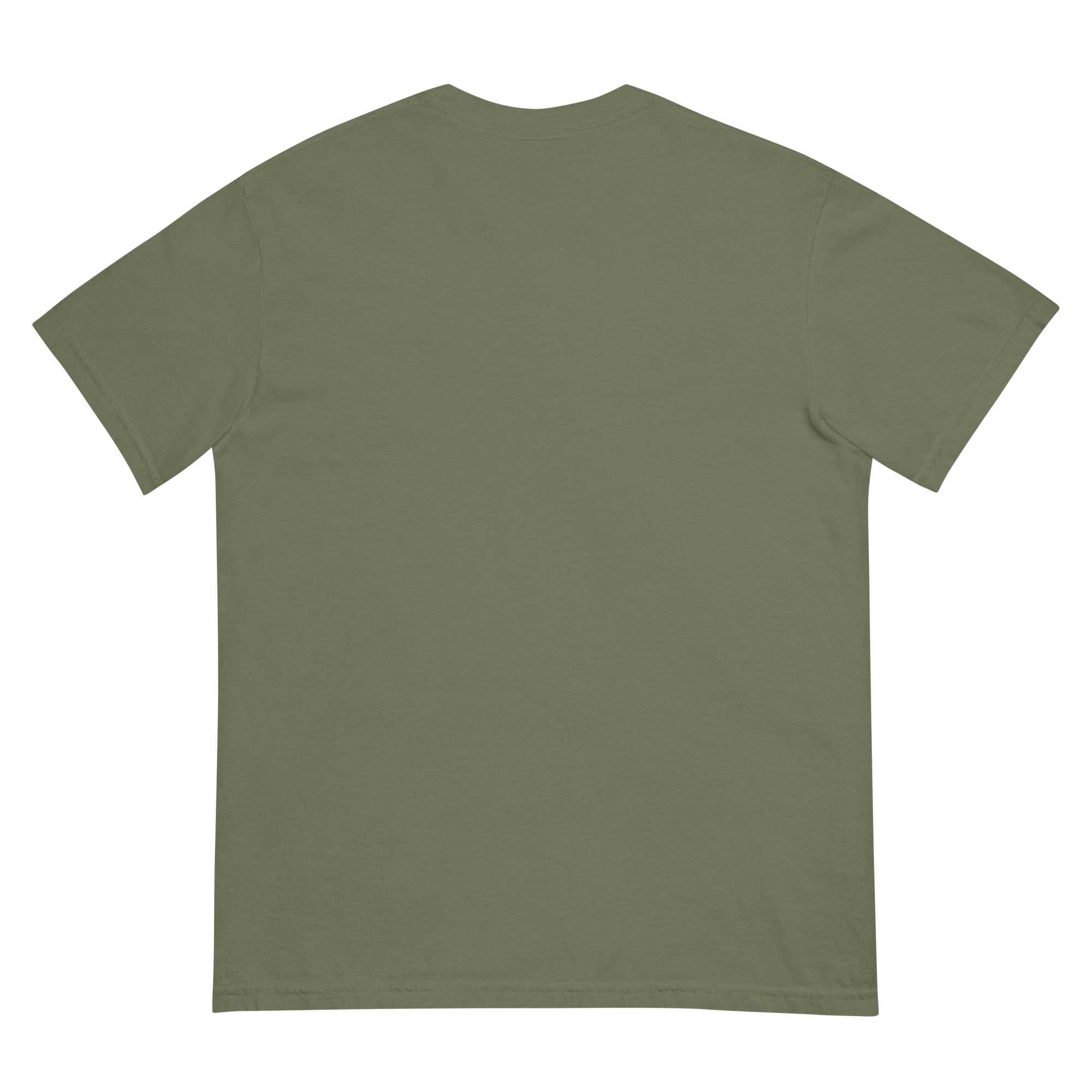 unisex-garment-dyed-heavyweight-t-shirt-moss-back-68f2519e58bce.jpg