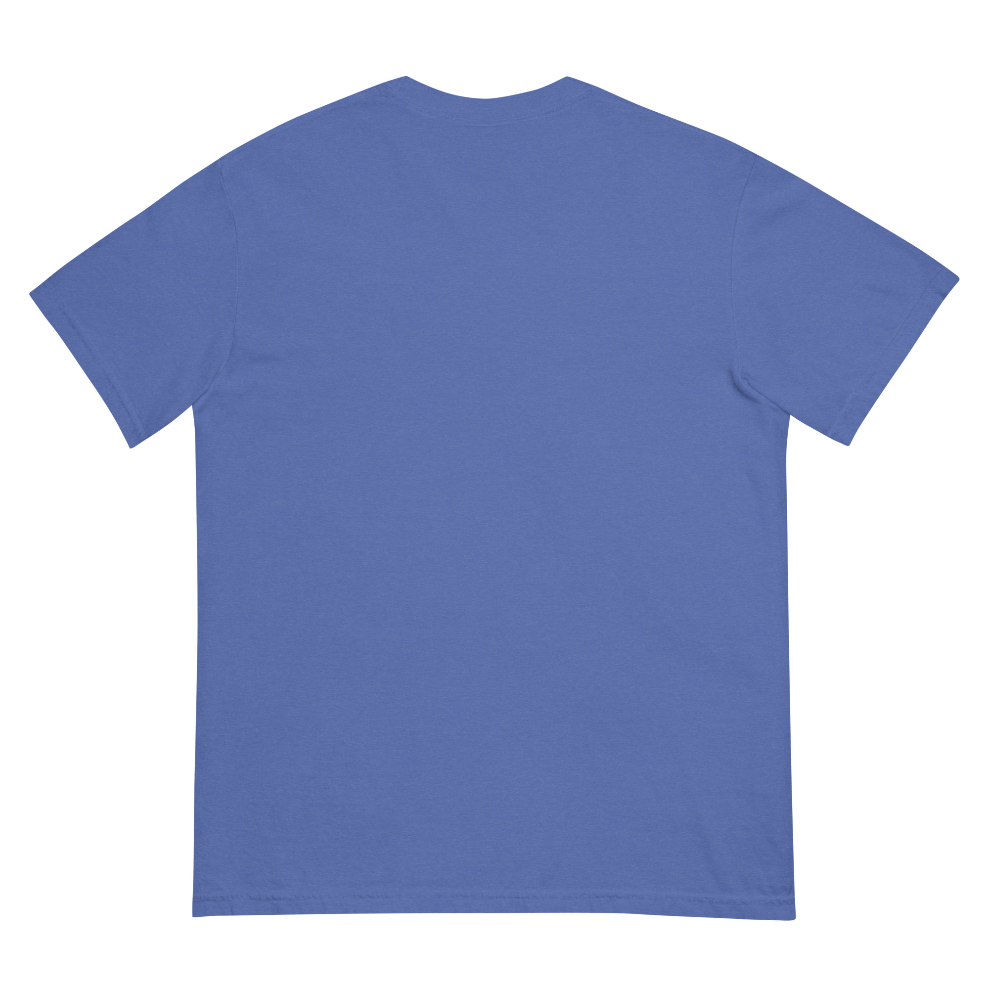 unisex-garment-dyed-heavyweight-t-shirt-mystic-blue-back-68f3a88da595d.jpg