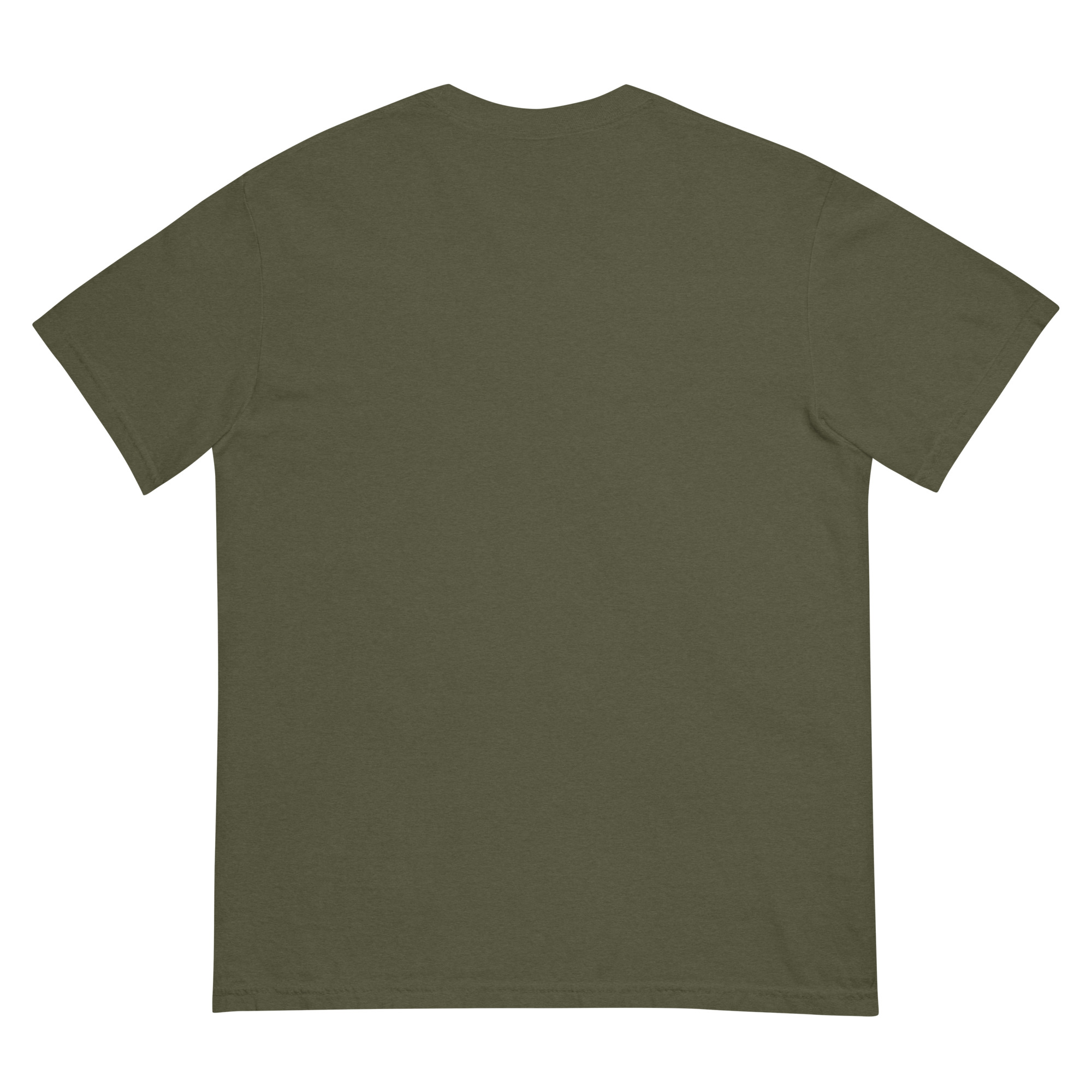 unisex-garment-dyed-heavyweight-t-shirt-sage-back-68f3a88d8bf08.jpg
