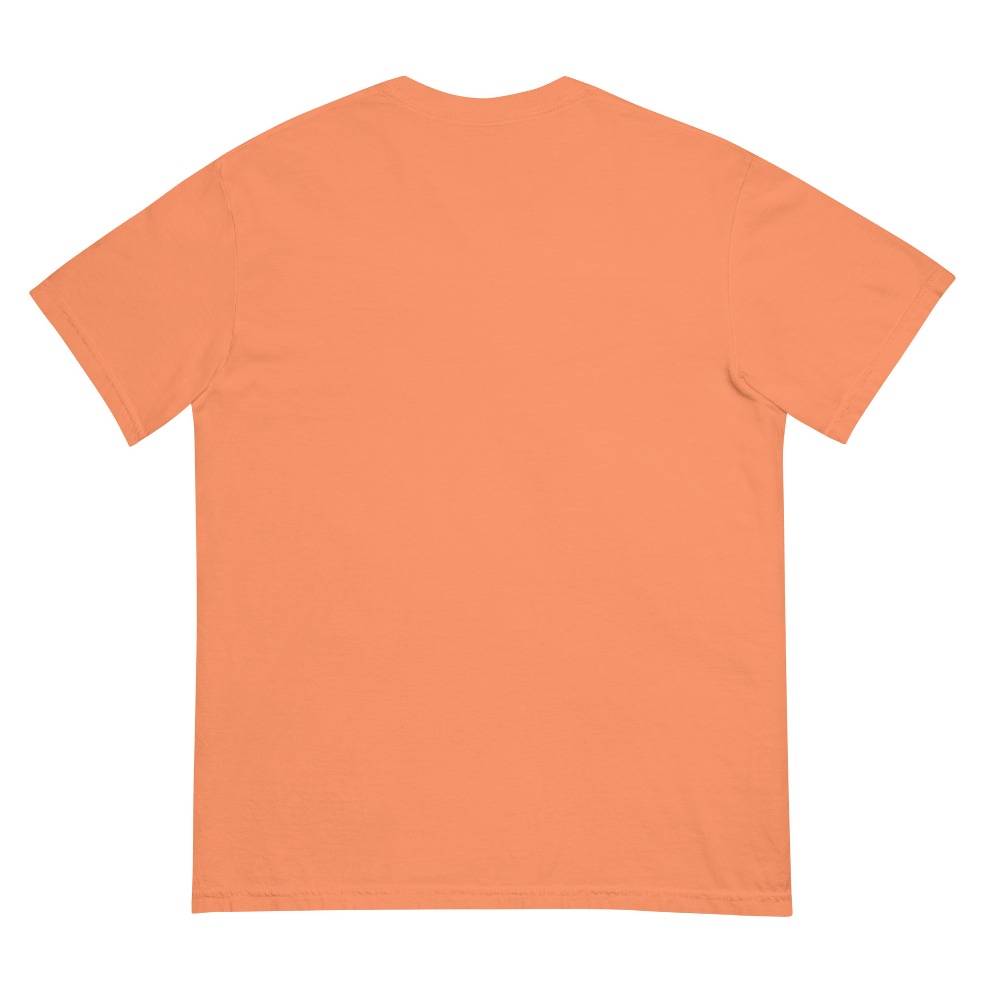 unisex-garment-dyed-heavyweight-t-shirt-terracotta-back-68efba15afdee.jpg