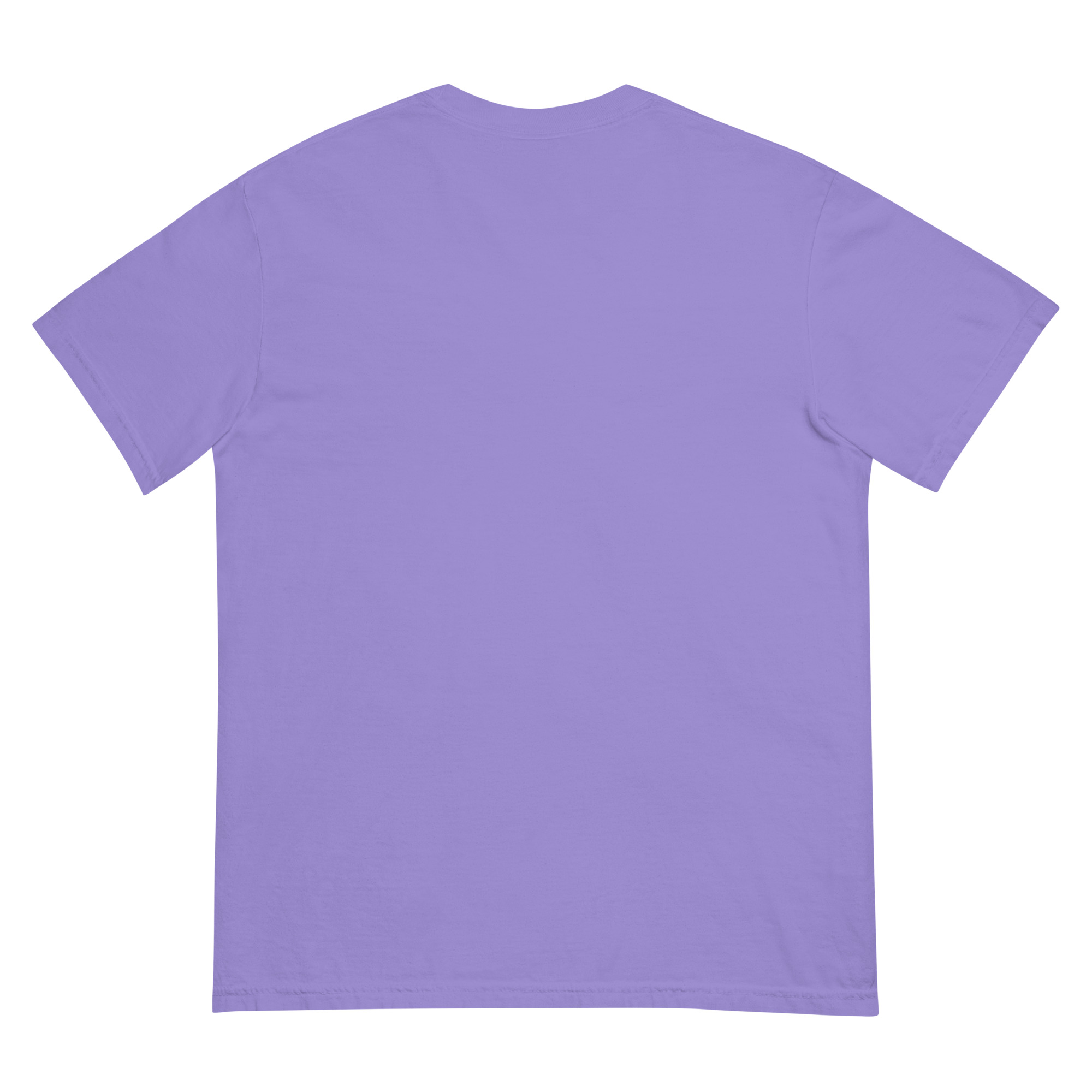 unisex-garment-dyed-heavyweight-t-shirt-violet-back-68f3ac4796326.jpg