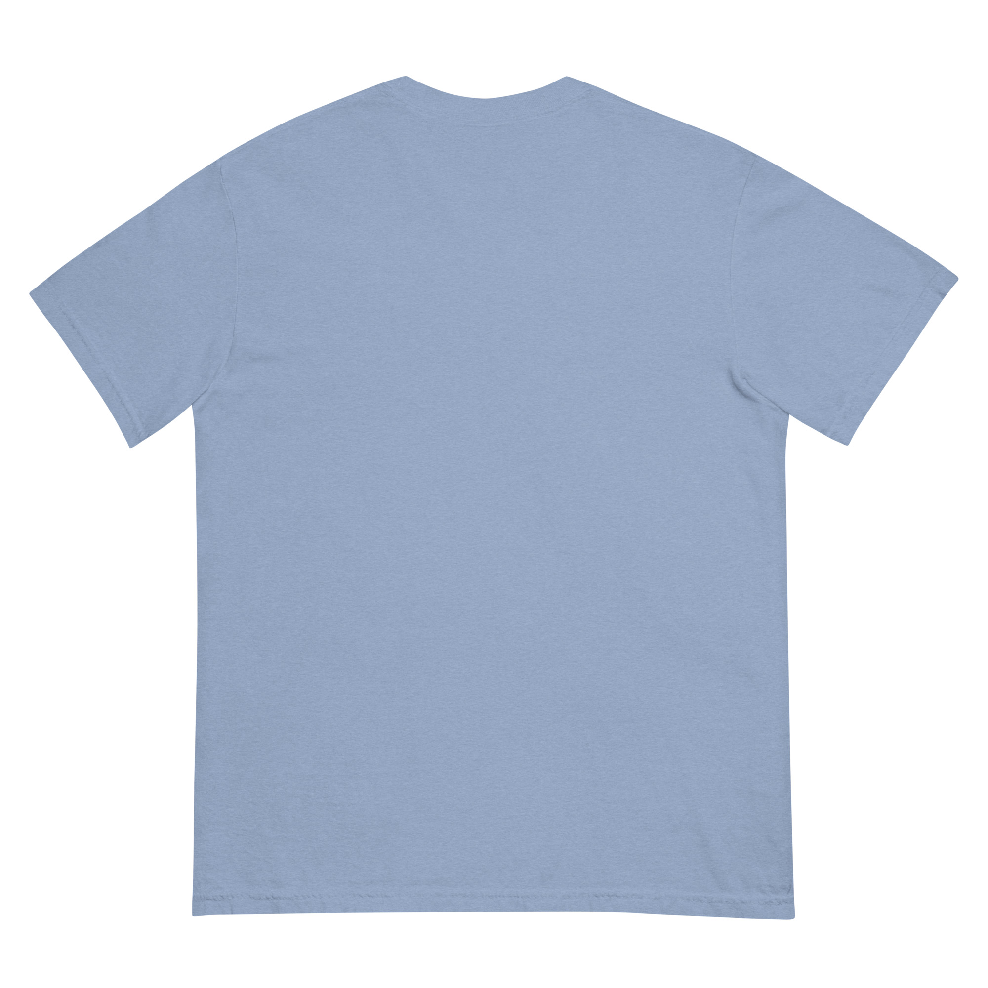 unisex-garment-dyed-heavyweight-t-shirt-washed-denim-back-68f3a88e02216.jpg