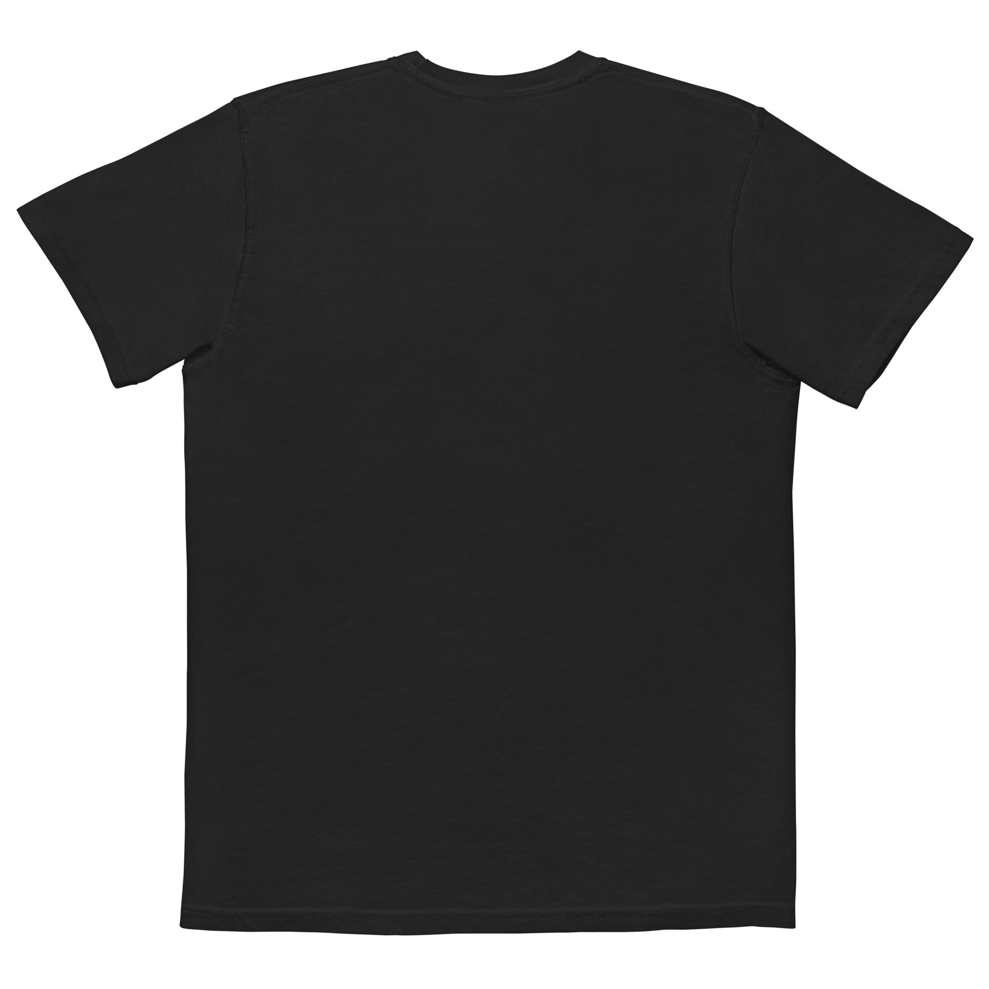 unisex-garment-dyed-pocket-t-shirt-black-back-68f3a7c9df4b8.png