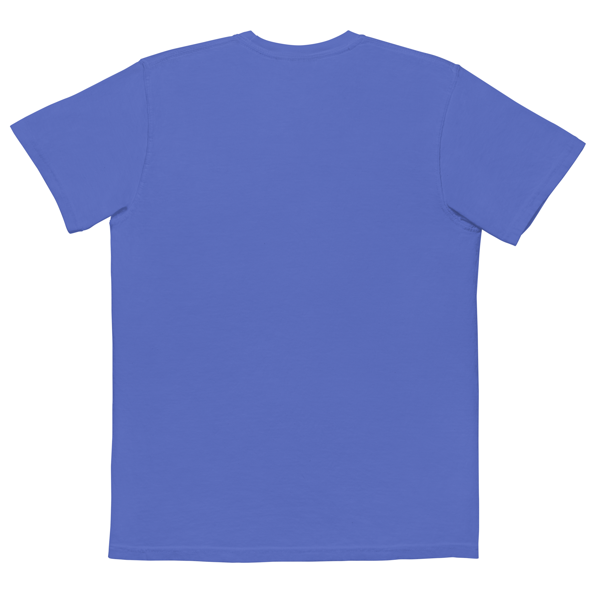 unisex-garment-dyed-pocket-t-shirt-flo-blue-back-68f3a7c9e25bf.png