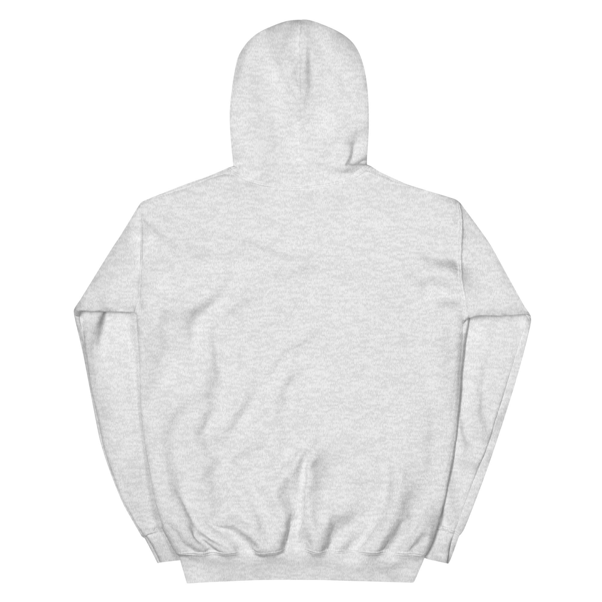 unisex-heavy-blend-hoodie-ash-back-68f2542a2344c.png