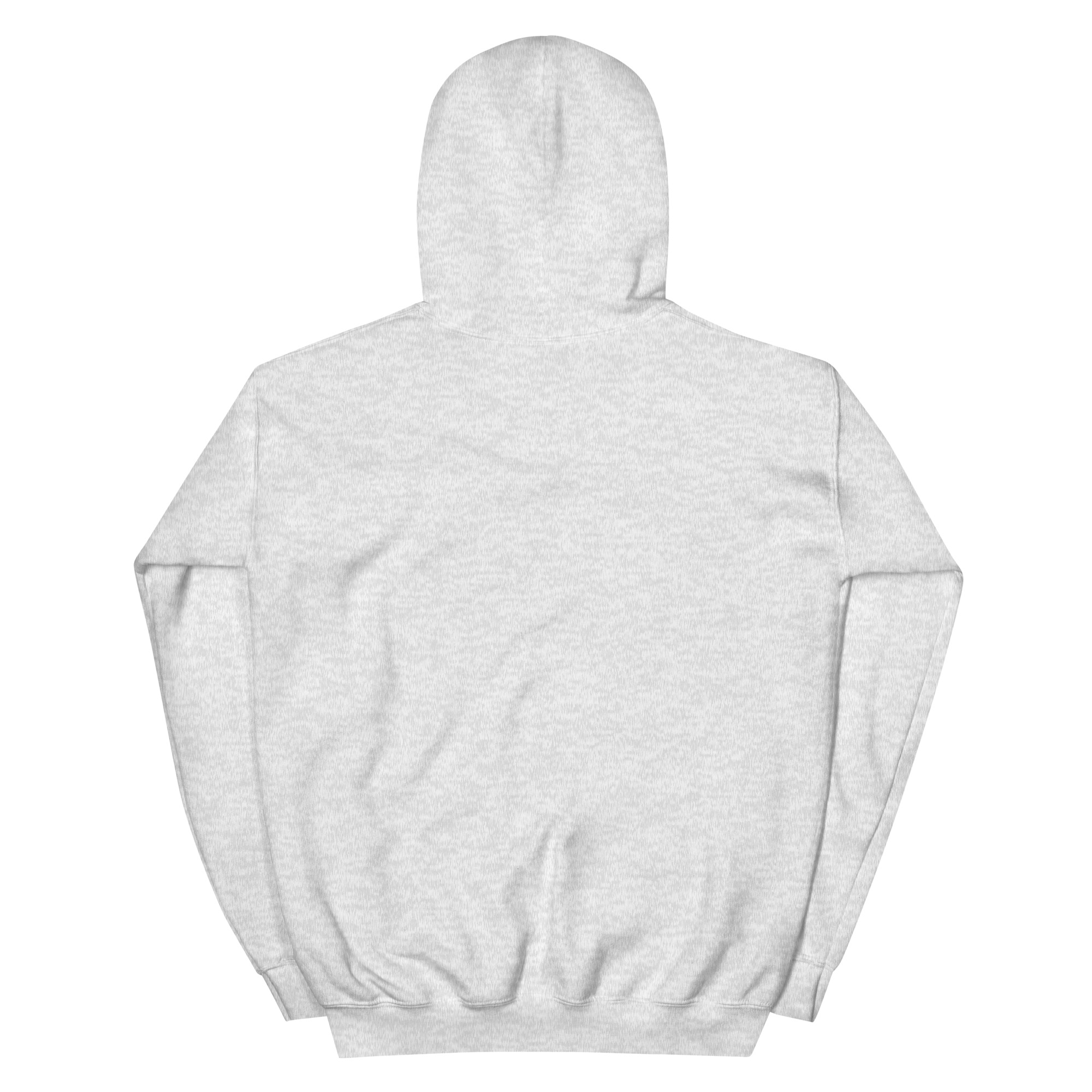 unisex-heavy-blend-hoodie-ash-back-68f3aec172000.jpg