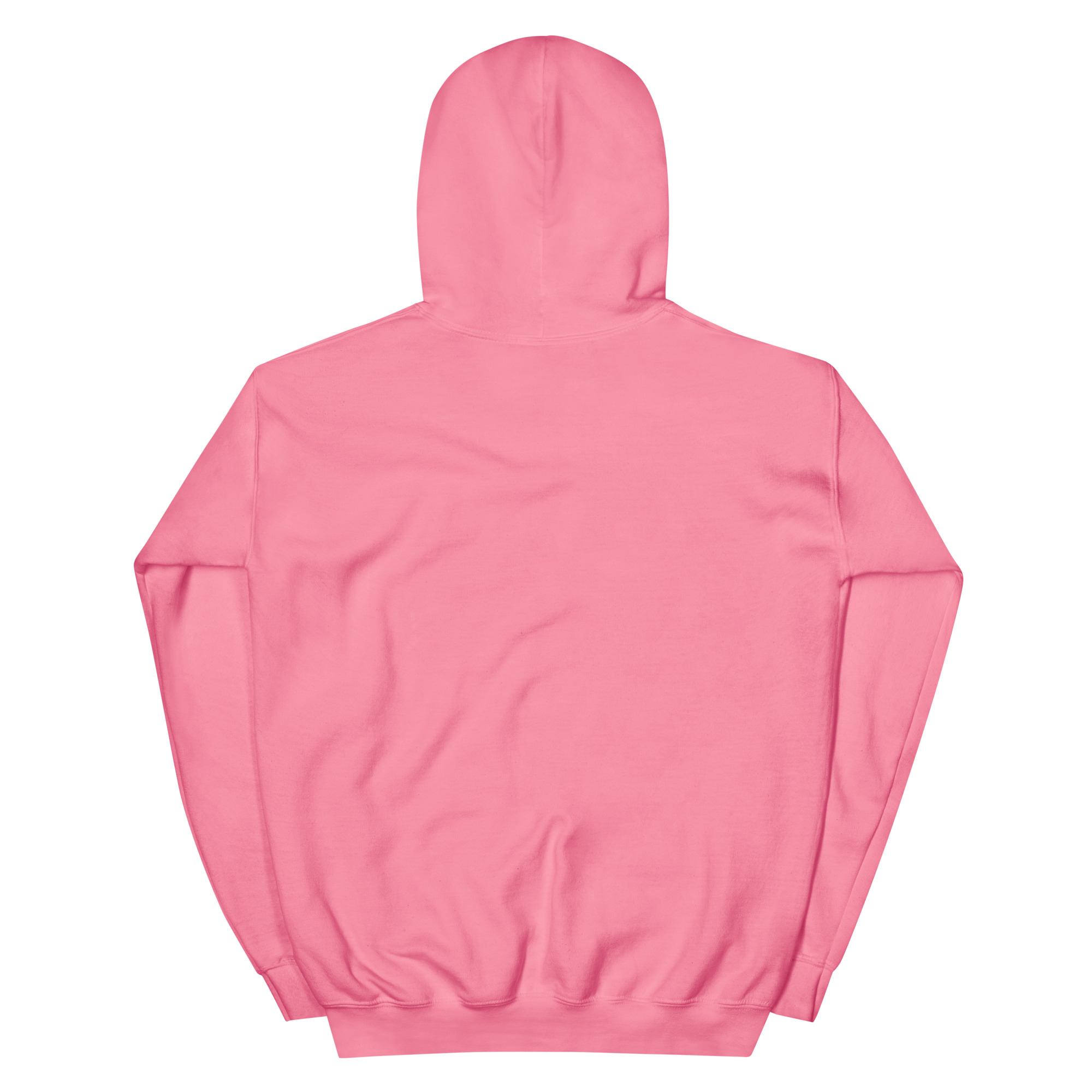 unisex-heavy-blend-hoodie-azalea-back-68f3aec0cc837.jpg