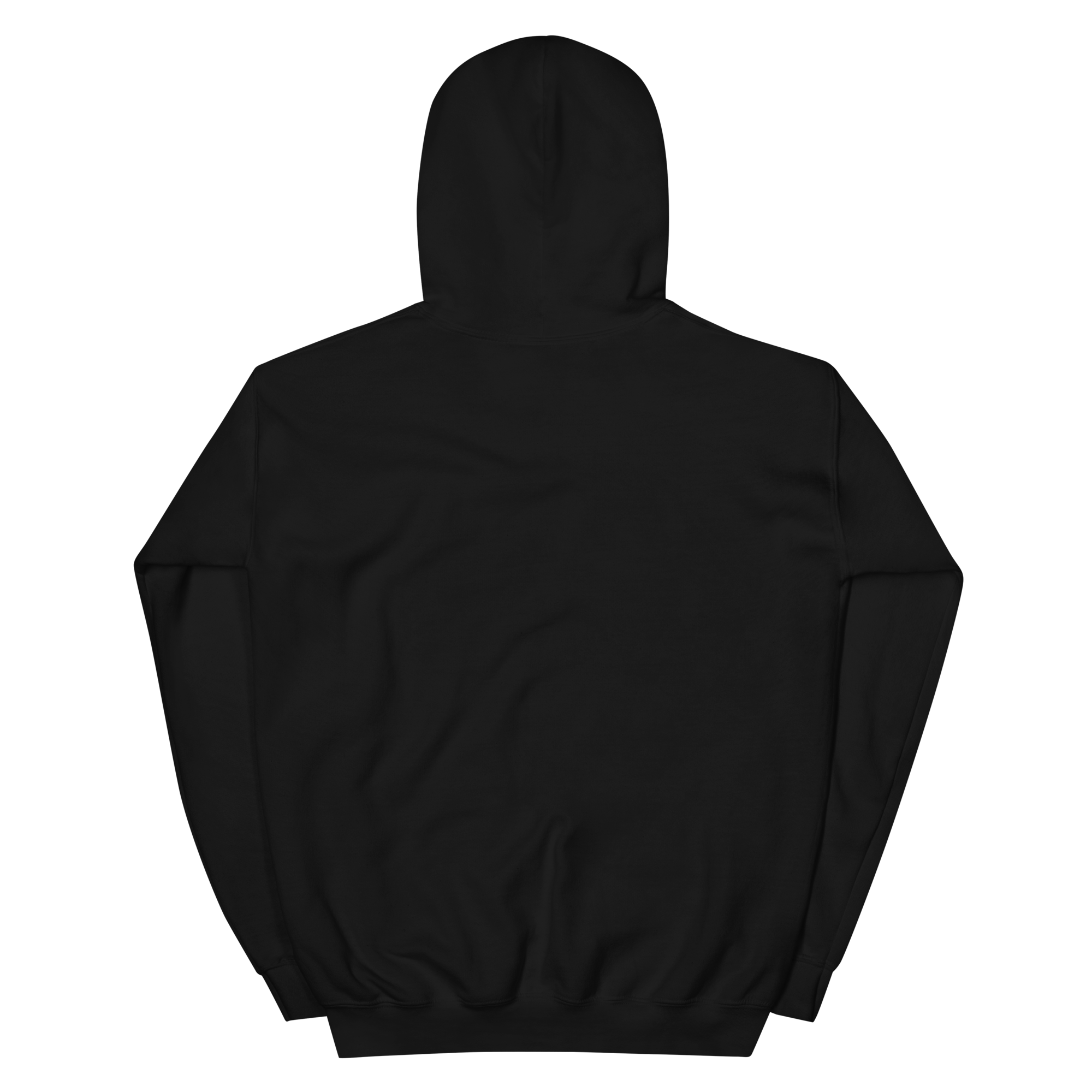 unisex-heavy-blend-hoodie-black-back-68f2542868299.png
