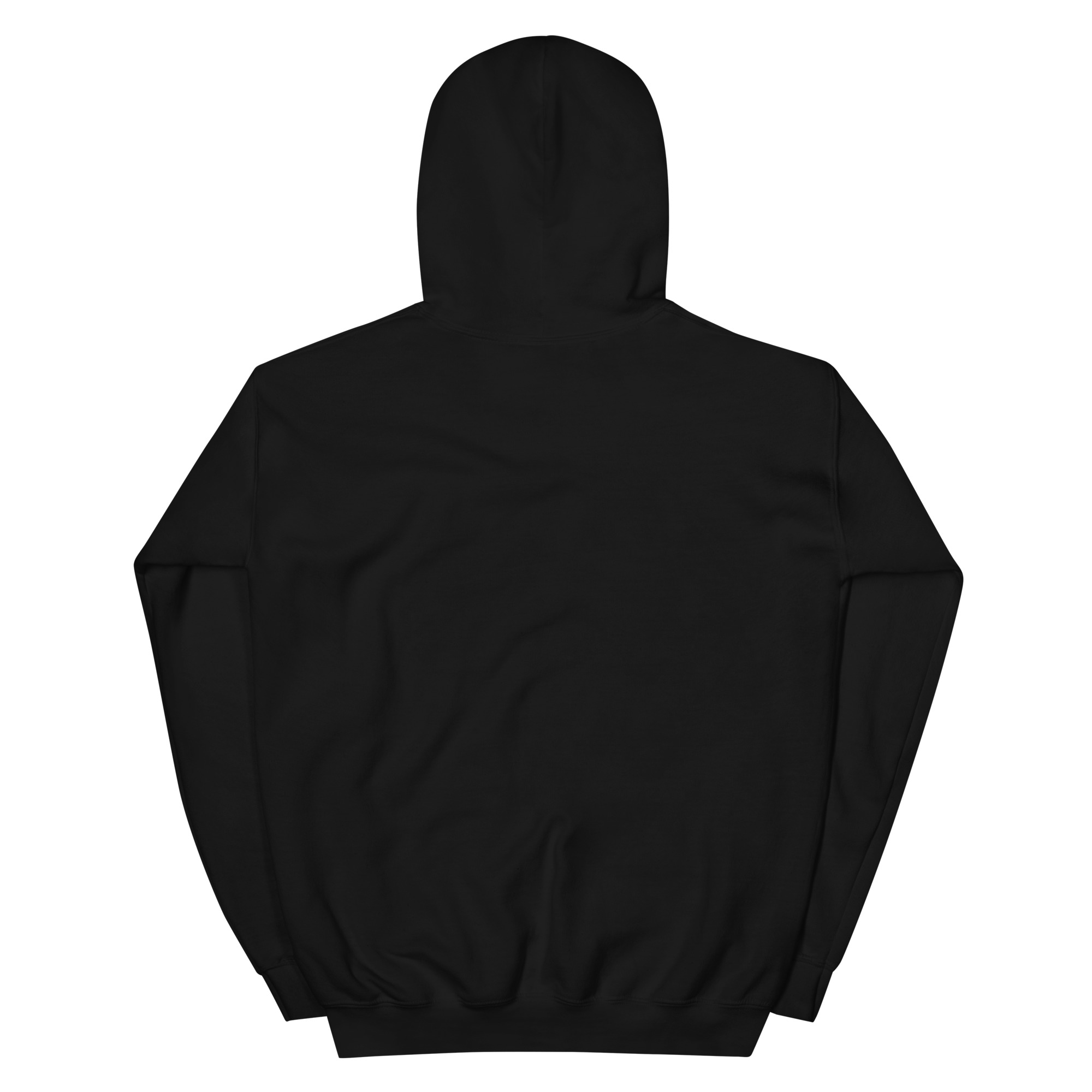 unisex-heavy-blend-hoodie-black-back-68f3aebf7a8ea.jpg