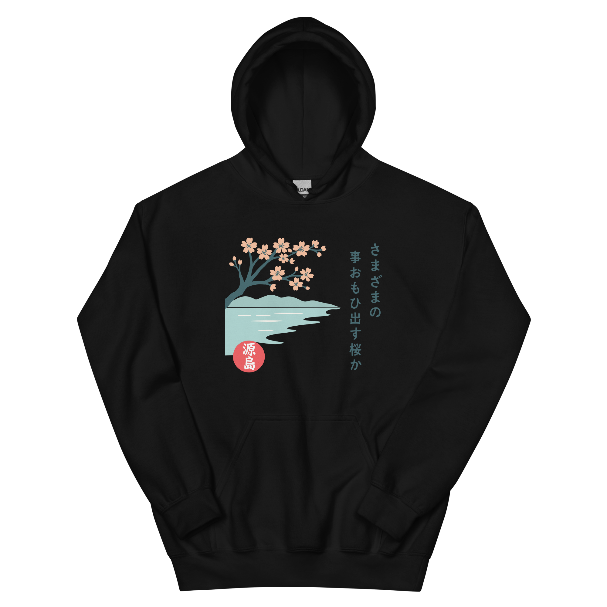 unisex-heavy-blend-hoodie-black-front-68f2542866e23.png