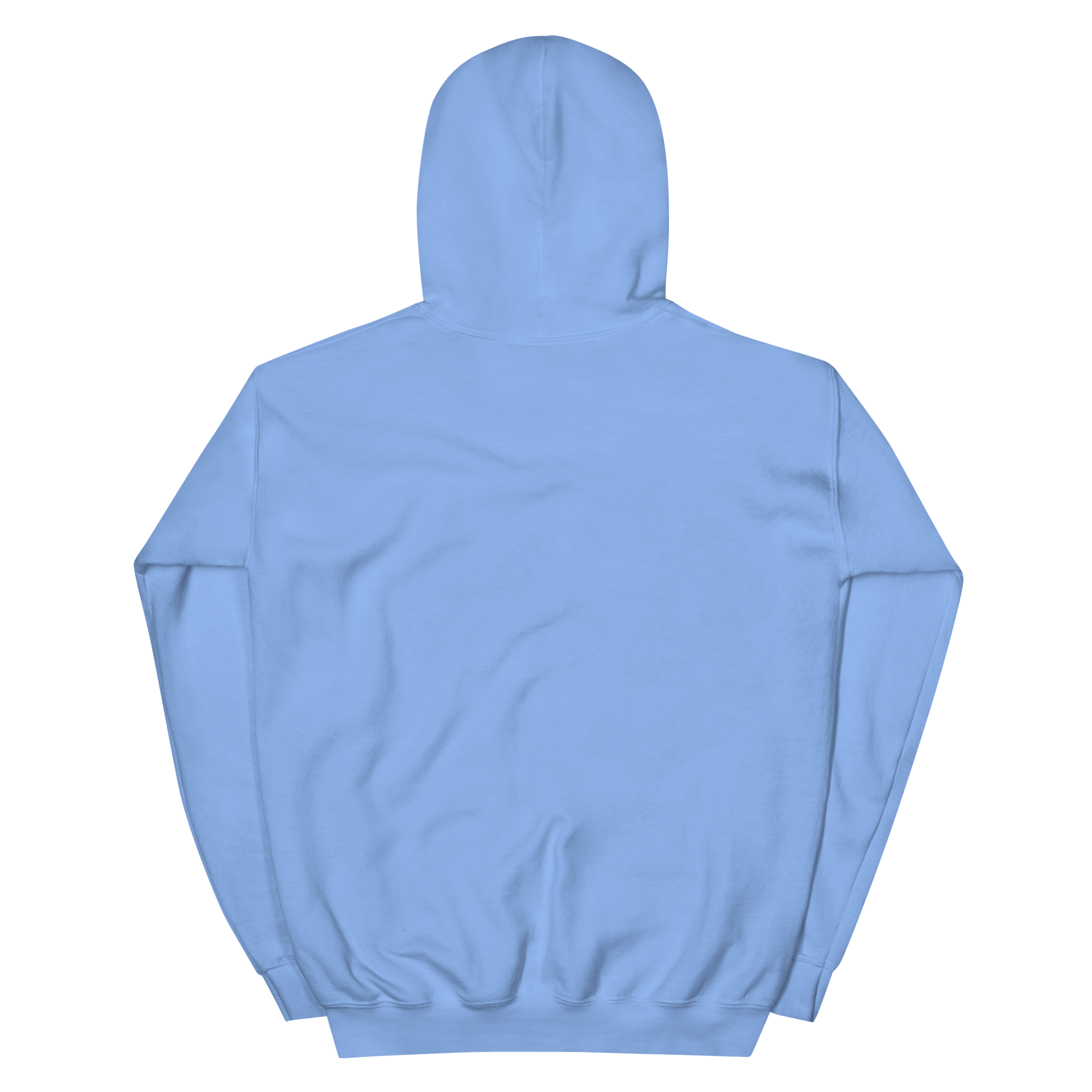 unisex-heavy-blend-hoodie-carolina-blue-back-68f254297f9ab.png
