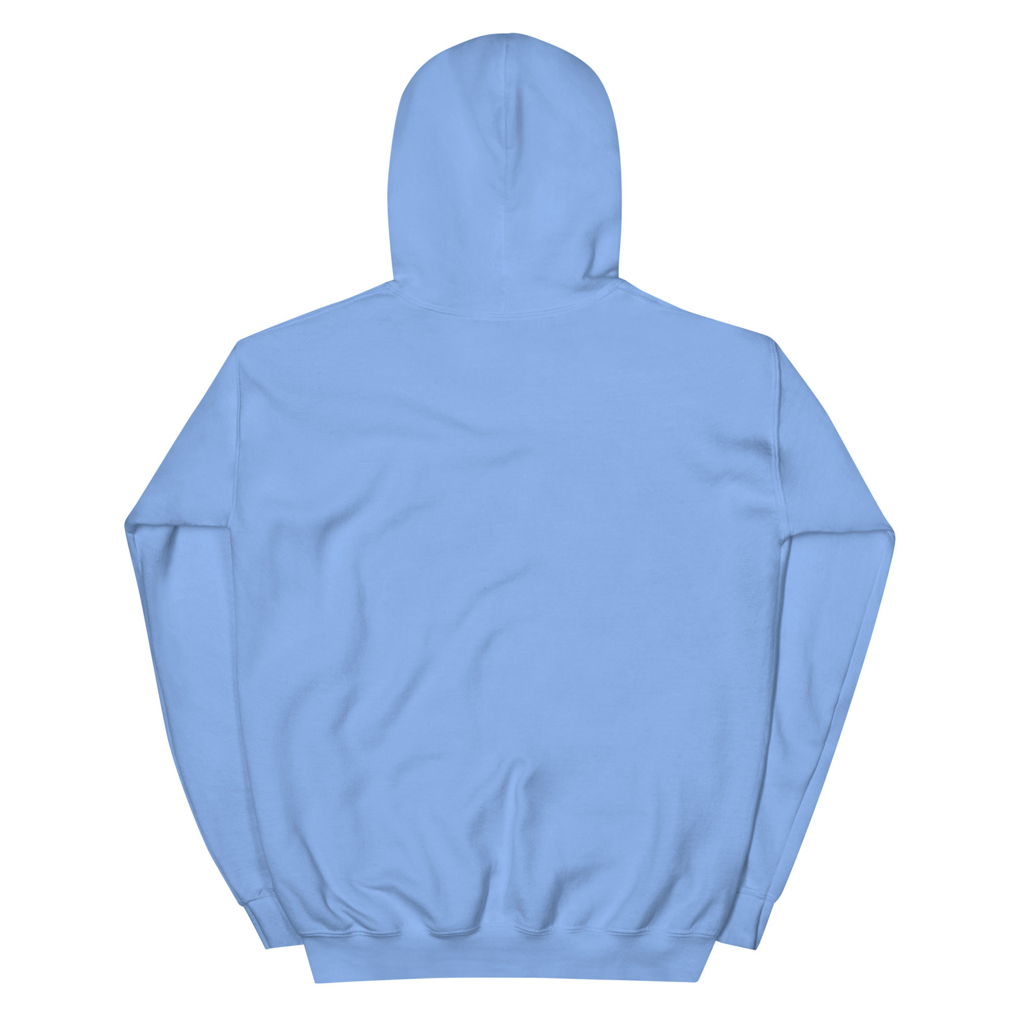 unisex-heavy-blend-hoodie-carolina-blue-back-68f3aec0a905a.jpg