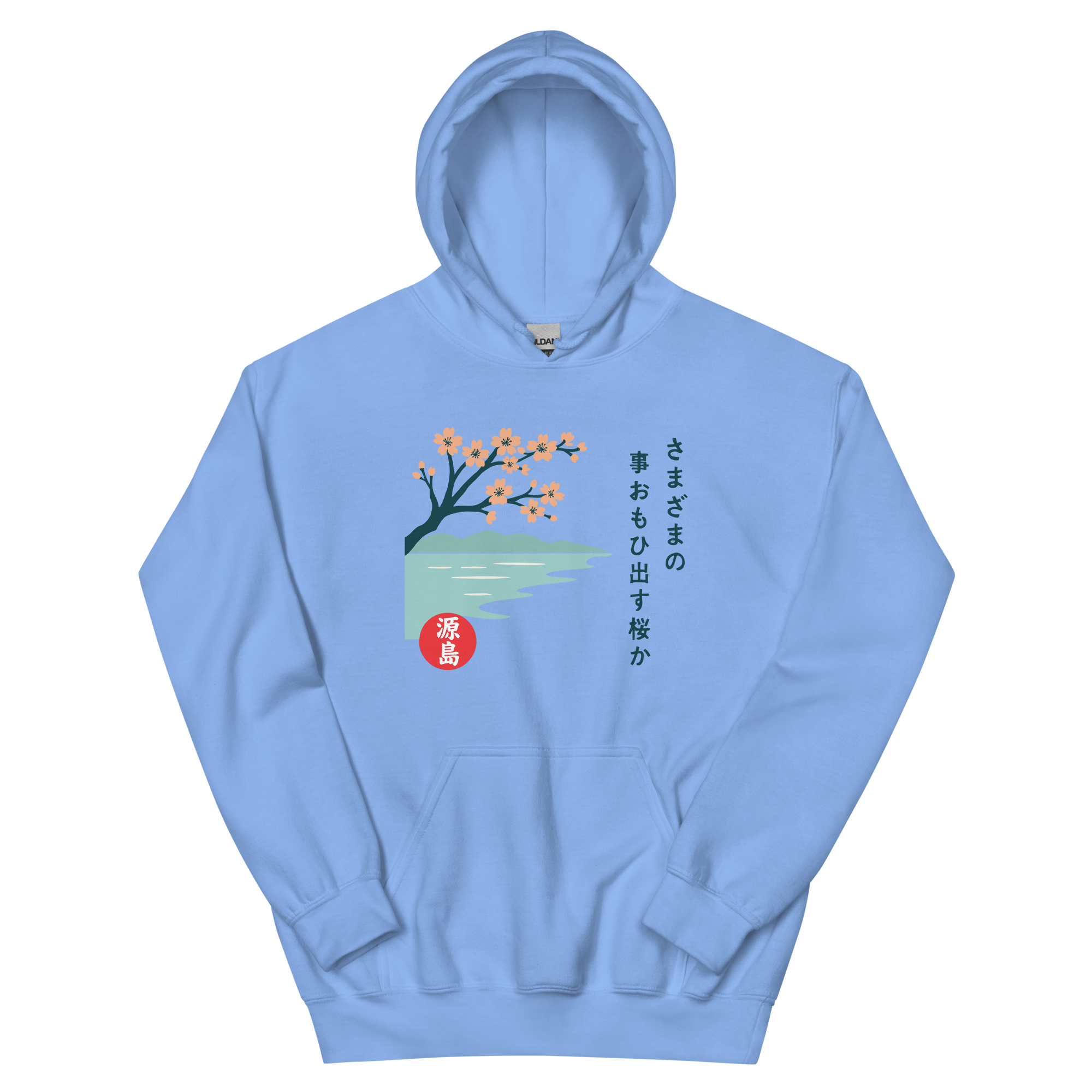 unisex-heavy-blend-hoodie-carolina-blue-front-68f254296f195.png