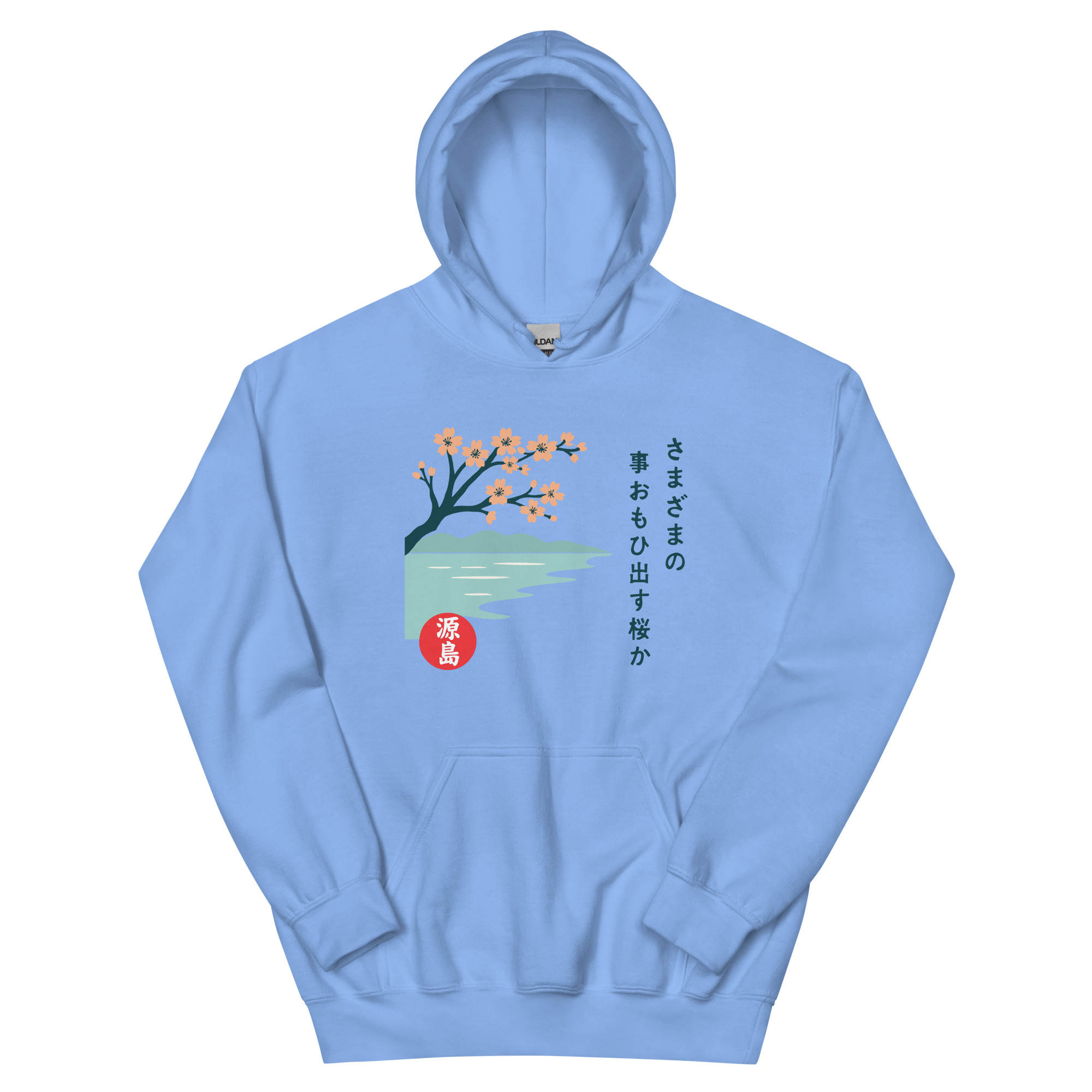 unisex-heavy-blend-hoodie-carolina-blue-front-68f25a76b27d7.jpg