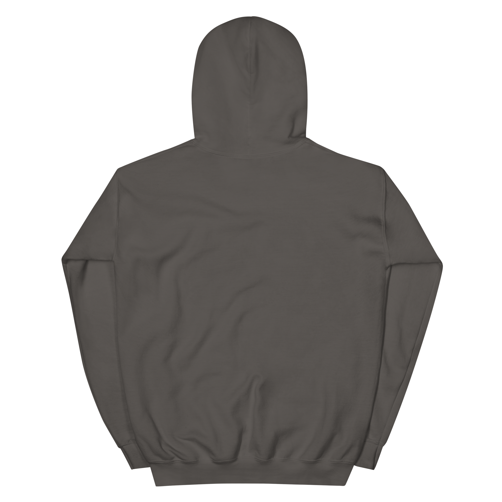 unisex-heavy-blend-hoodie-charcoal-back-68f25428b48f4.png