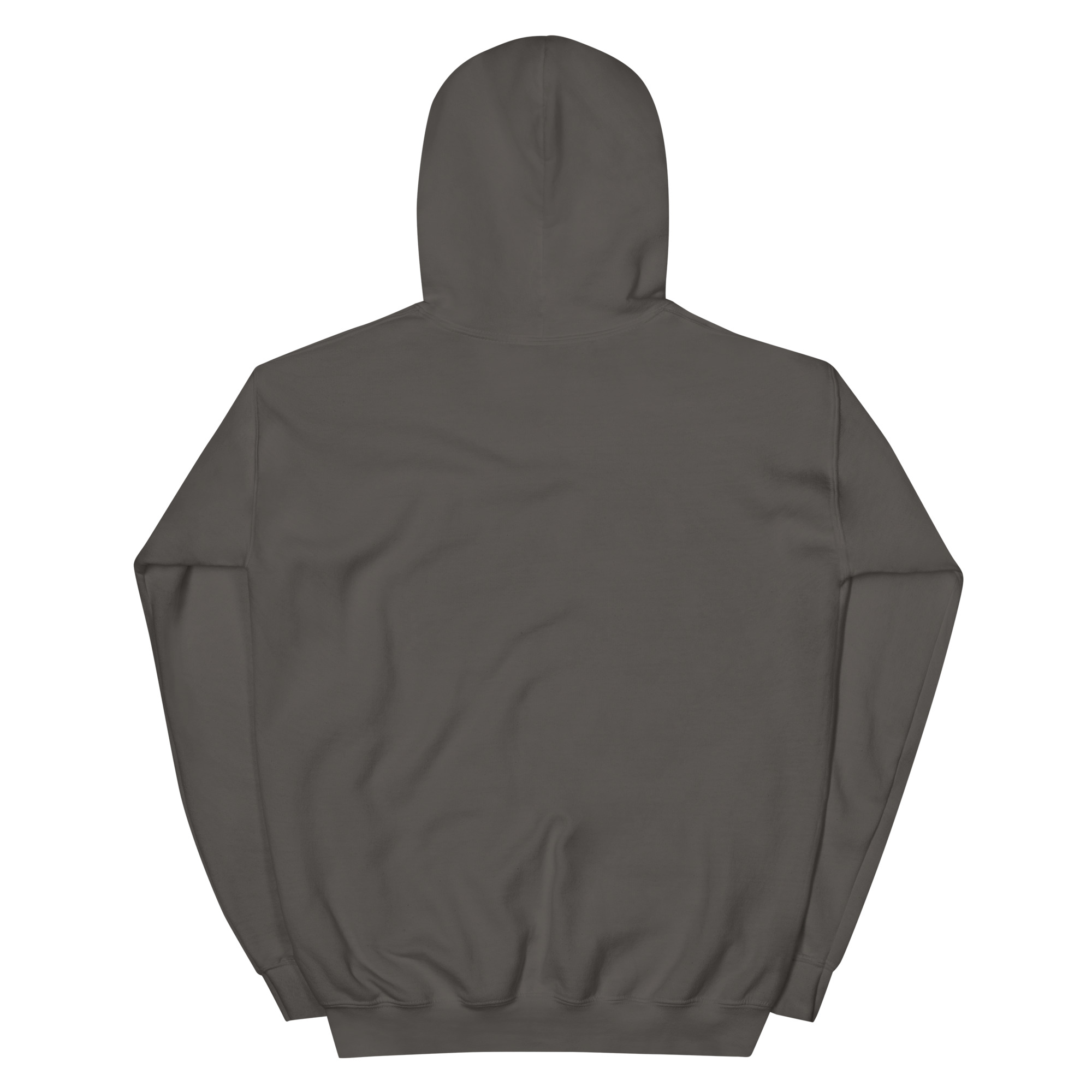 unisex-heavy-blend-hoodie-charcoal-back-68f3aebfd727d.jpg