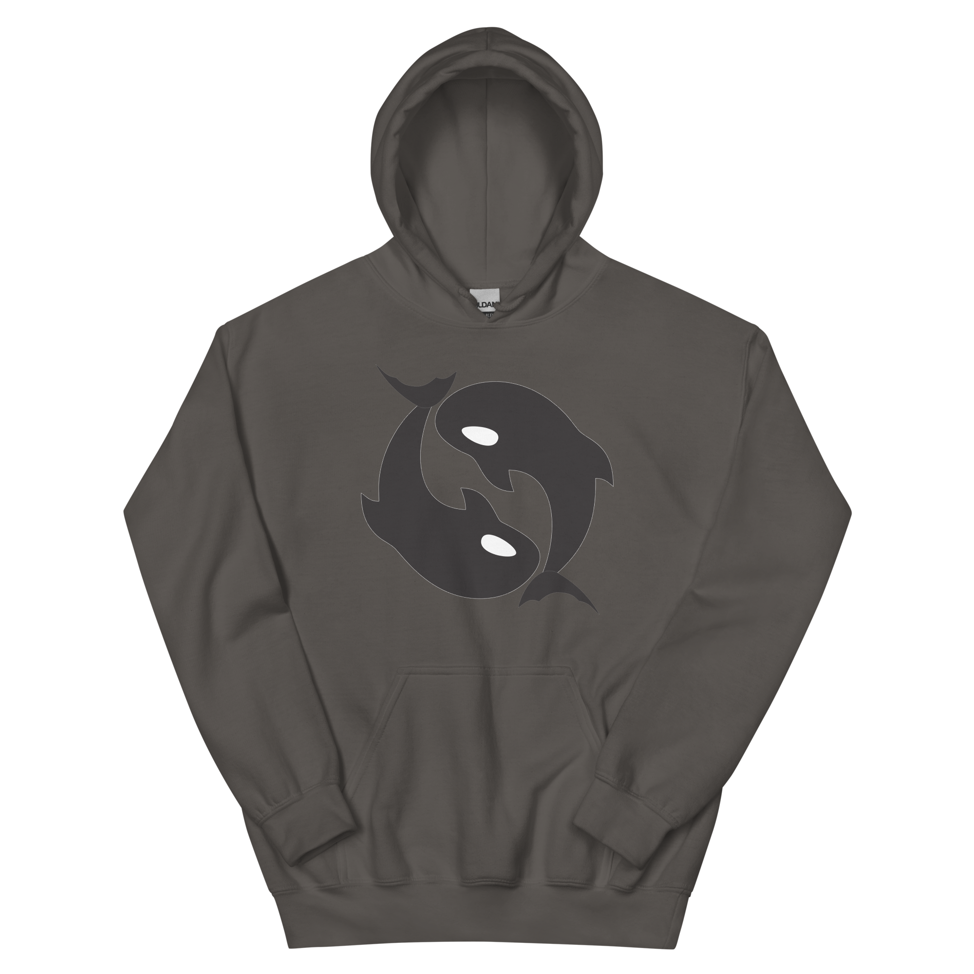 unisex-heavy-blend-hoodie-charcoal-front-68f10f95a8a06.png