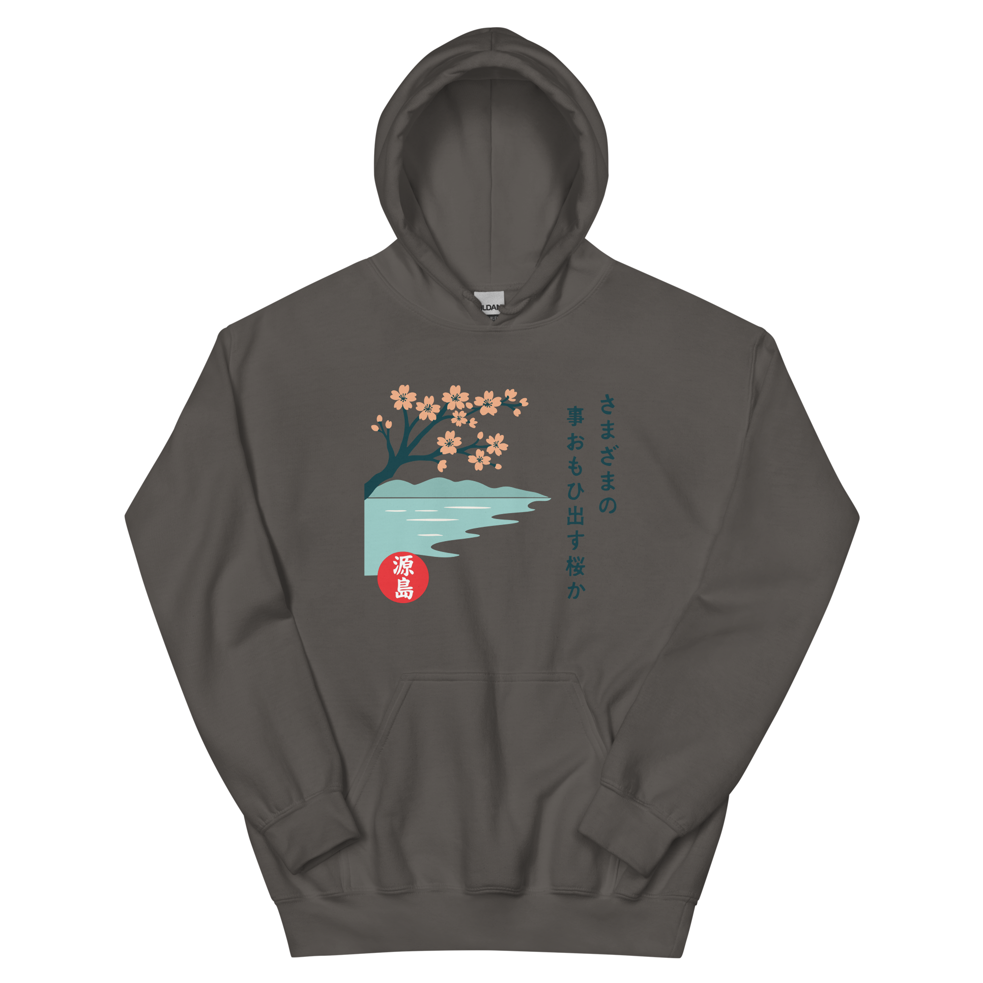 unisex-heavy-blend-hoodie-charcoal-front-68f25428ab28d.png