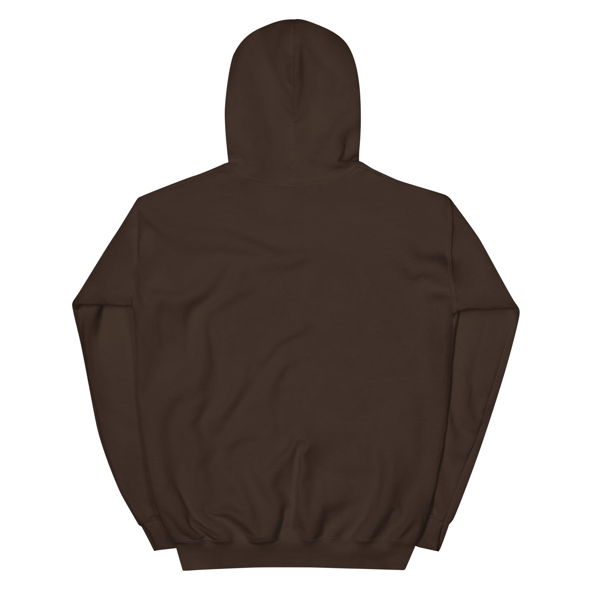 unisex-heavy-blend-hoodie-dark-chocolate-back-68f2542875ea3.png