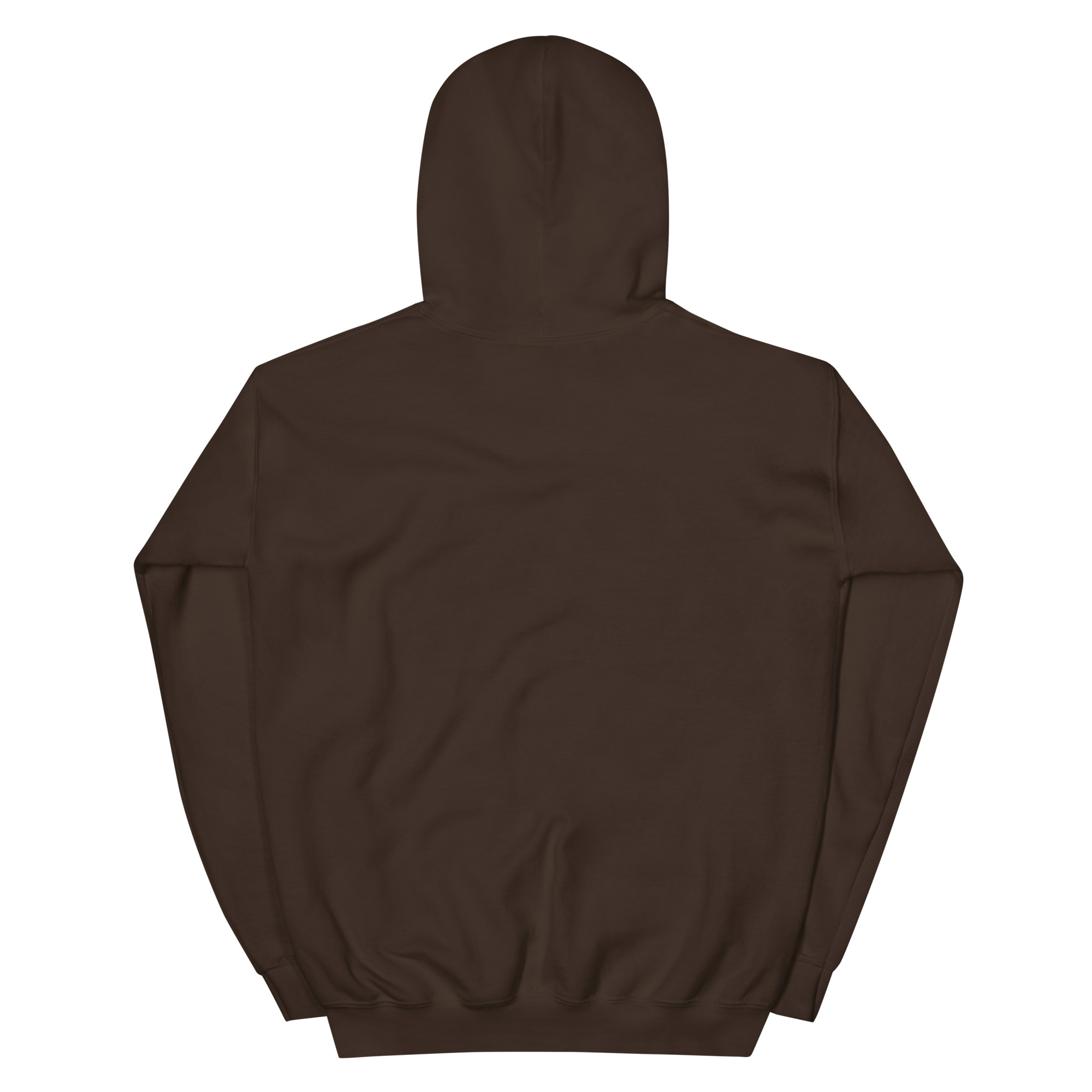 unisex-heavy-blend-hoodie-dark-chocolate-back-68f3aebf86e1c.jpg