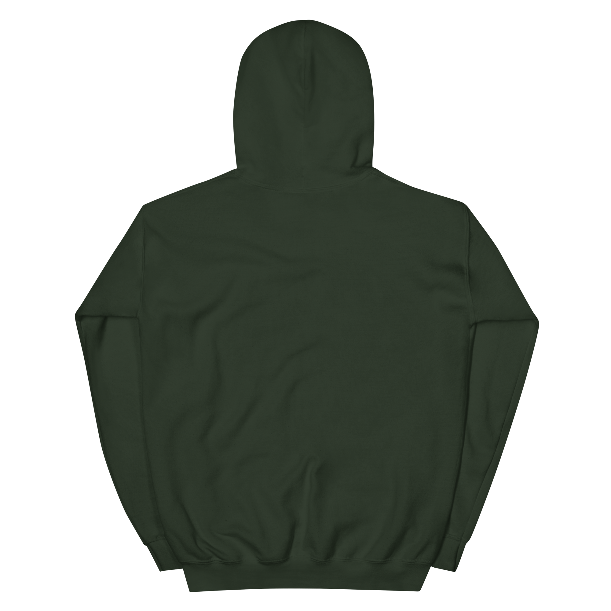 unisex-heavy-blend-hoodie-forest-green-back-68f254287e03f.png