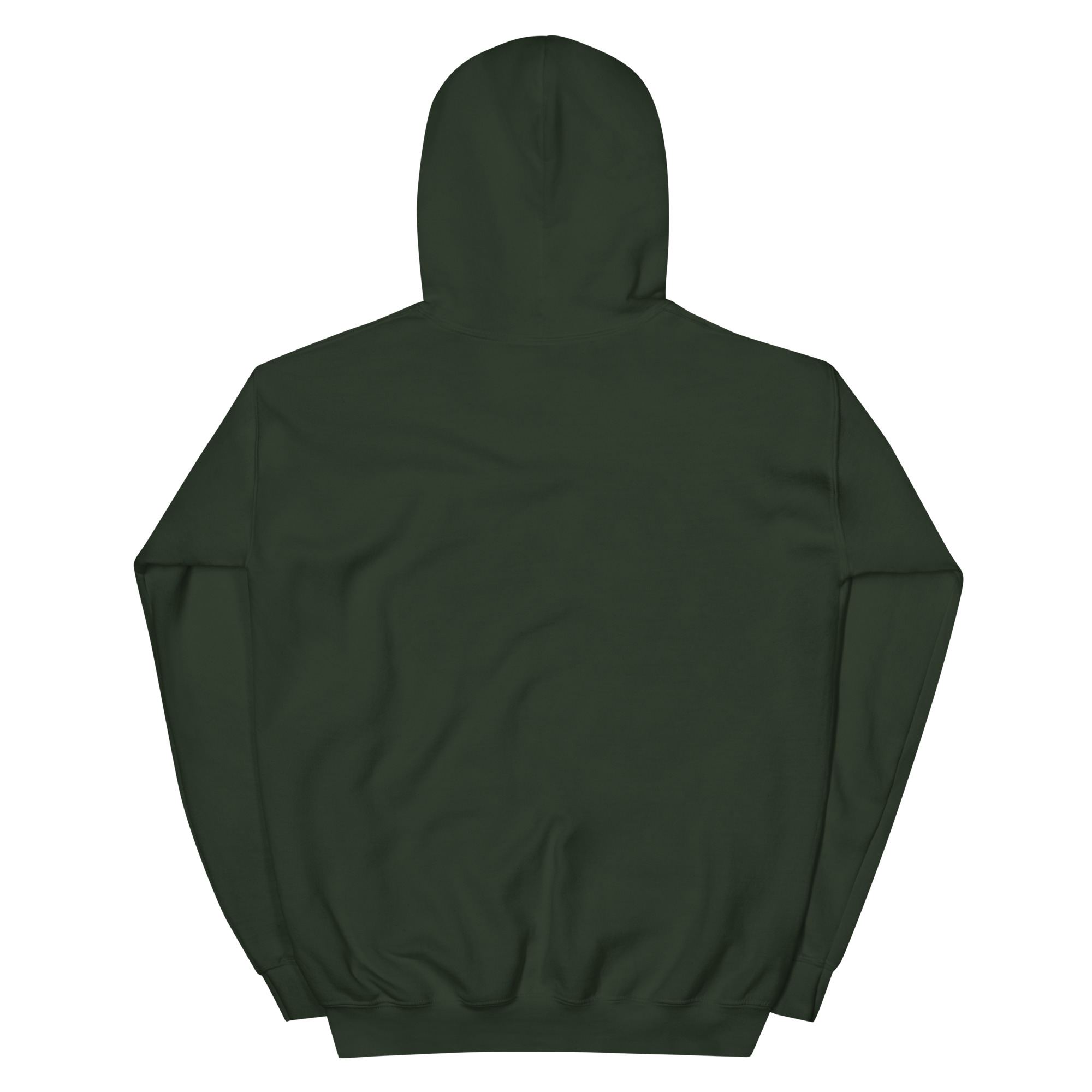unisex-heavy-blend-hoodie-forest-green-back-68f3aebf8e39c.jpg