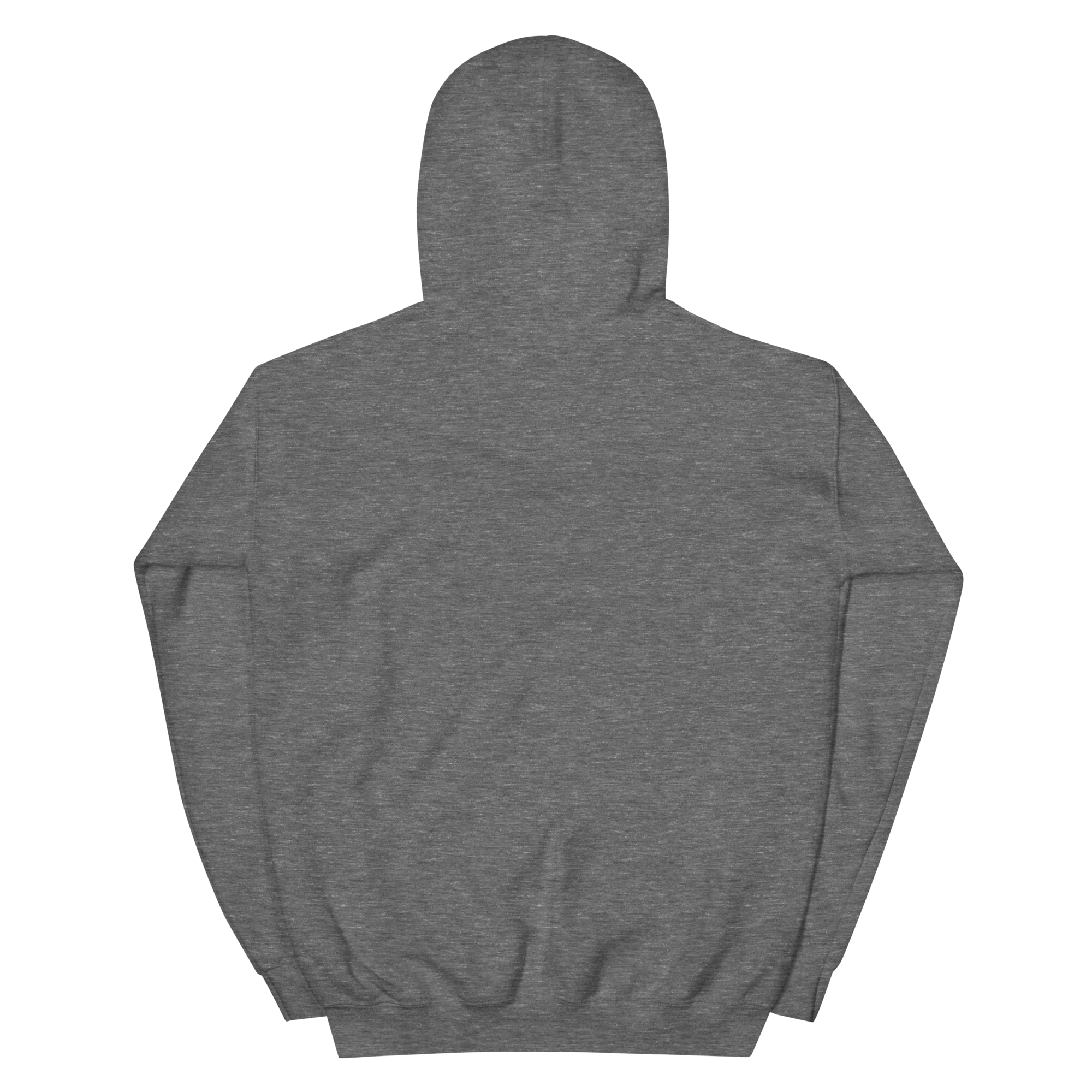 unisex-heavy-blend-hoodie-graphite-heather-back-68f2542901a9c.png
