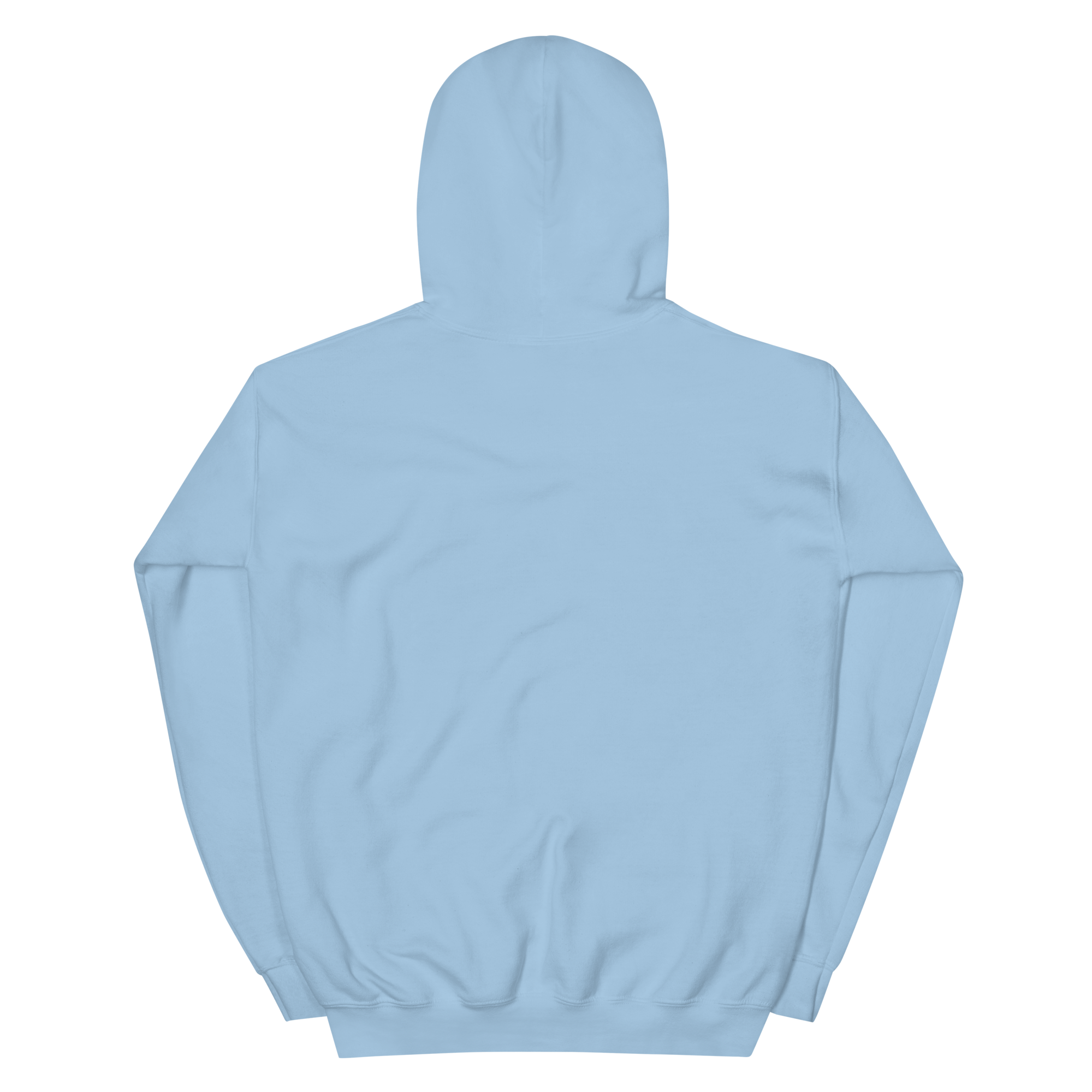 unisex-heavy-blend-hoodie-light-blue-back-68f25429a18e6.png