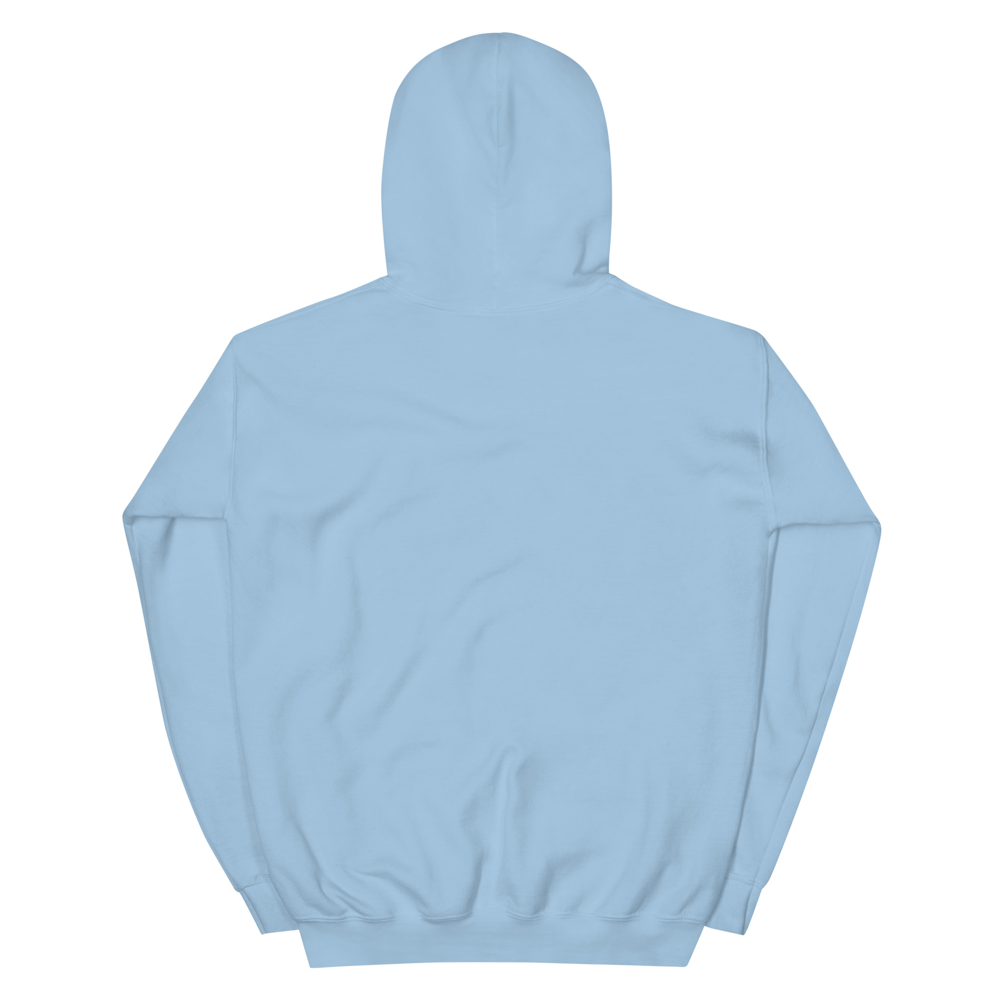 unisex-heavy-blend-hoodie-light-blue-back-68f3aec0effed.jpg