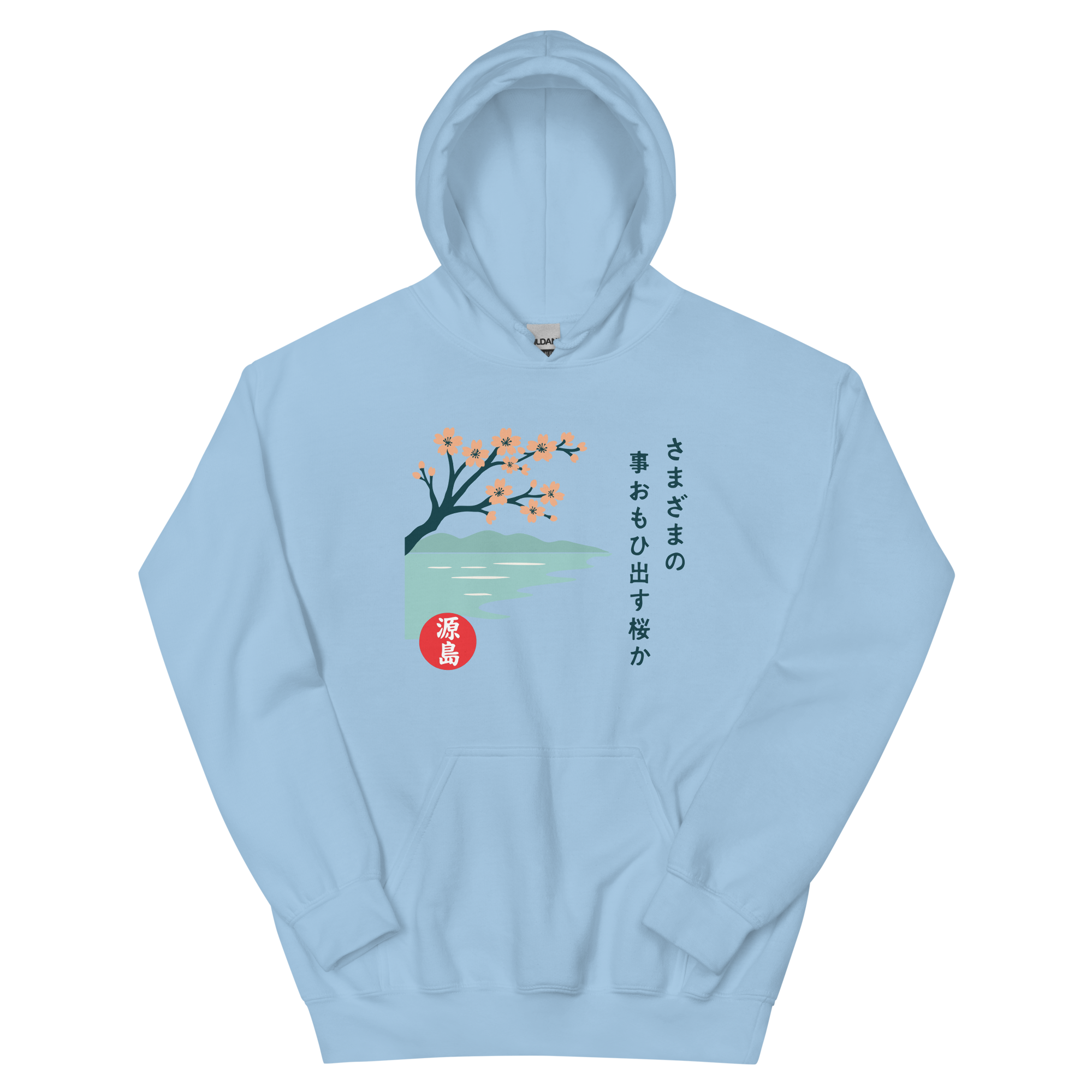 unisex-heavy-blend-hoodie-light-blue-front-68f25429900fd.png