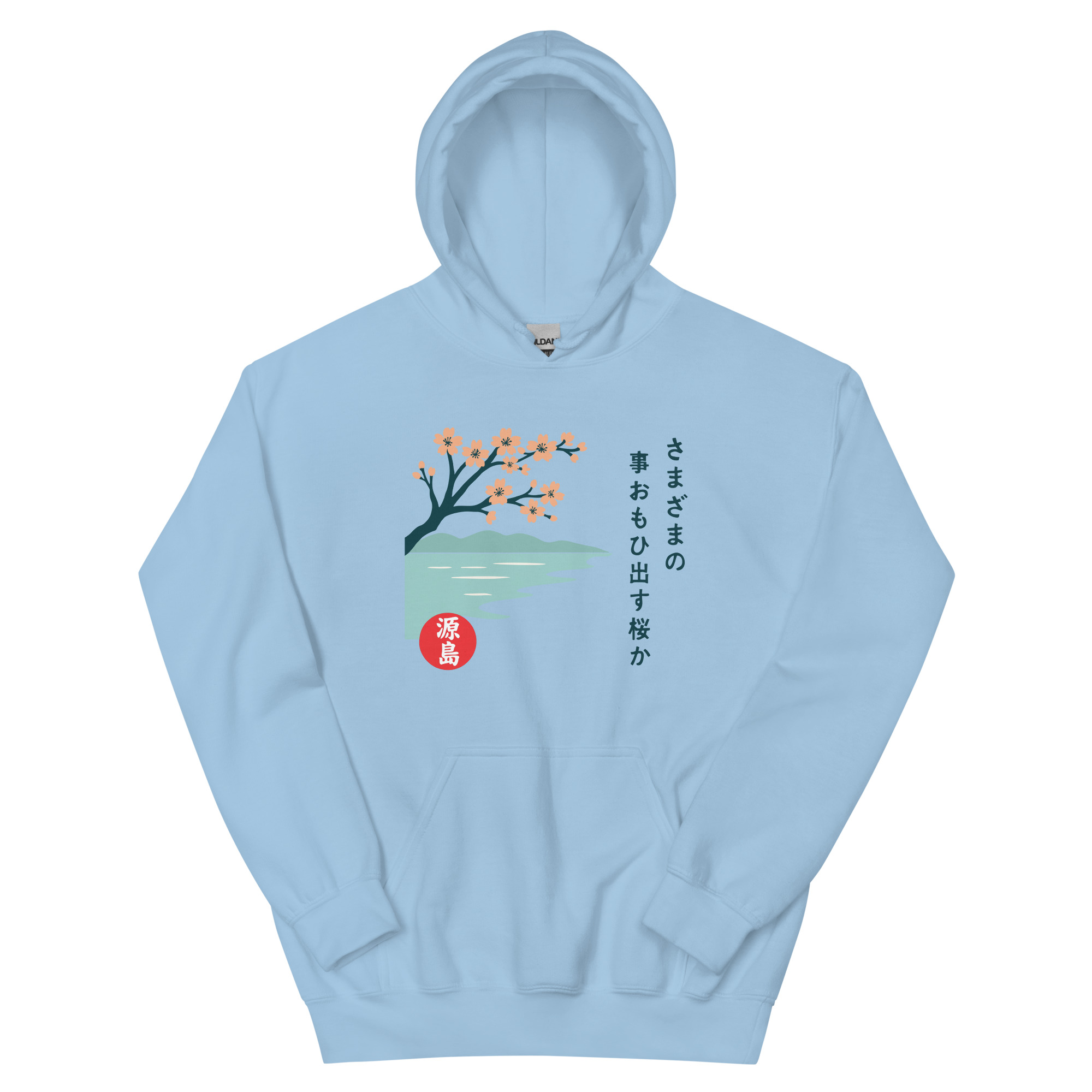 unisex-heavy-blend-hoodie-light-blue-front-68f25a7727690.jpg