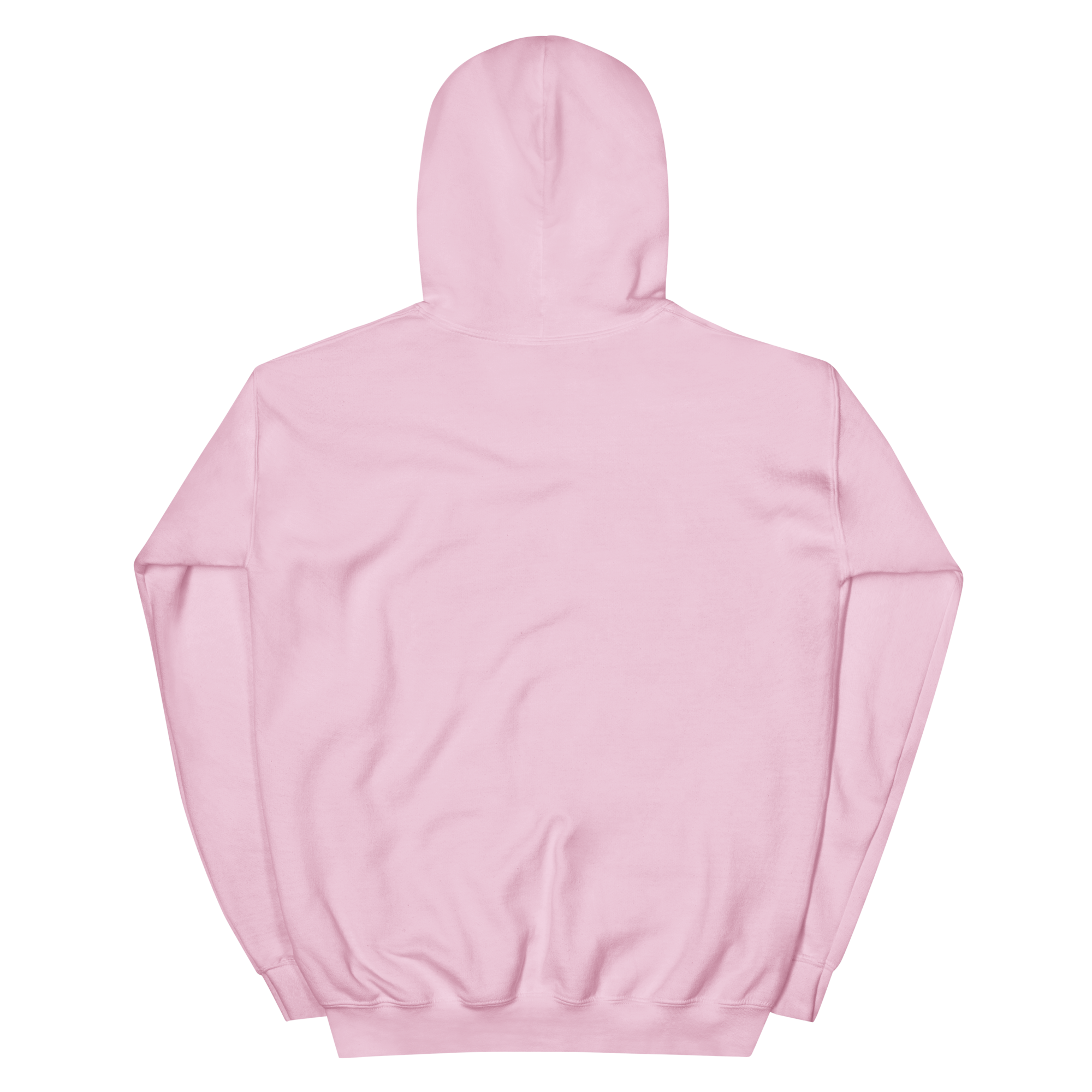 unisex-heavy-blend-hoodie-light-pink-back-68f25429ebd87.png